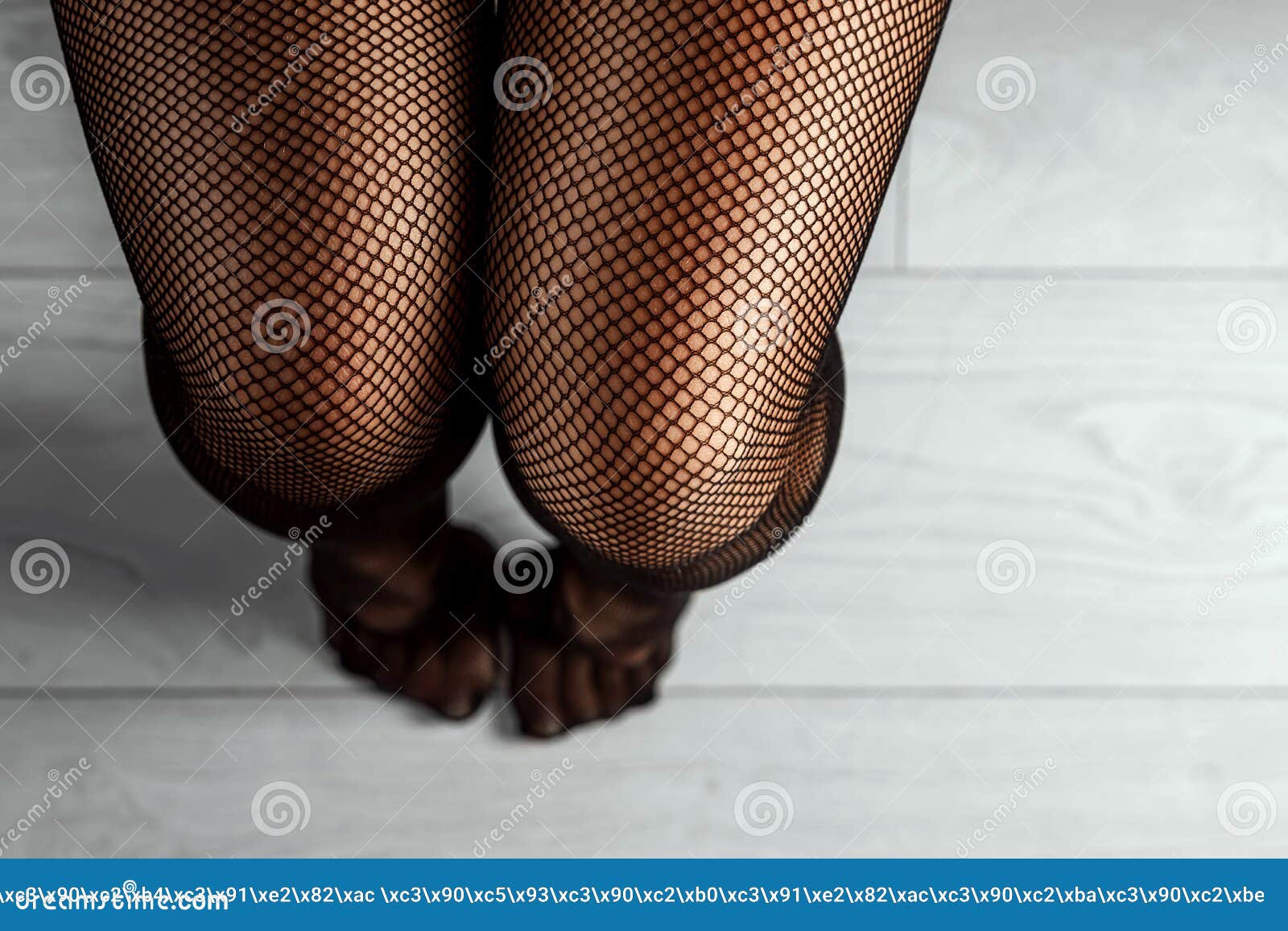 Close-up of Female Legs in Black Stockings photo