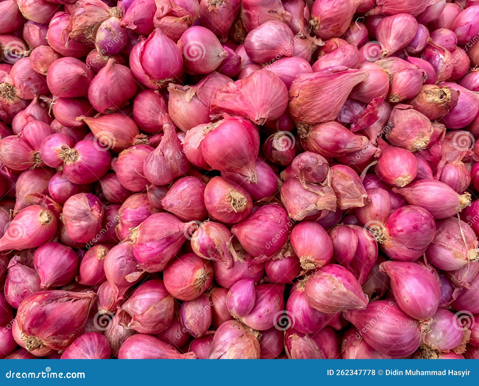 Shallots Indonesian Red Onion Traditional Organic Stock Photo 2287958019