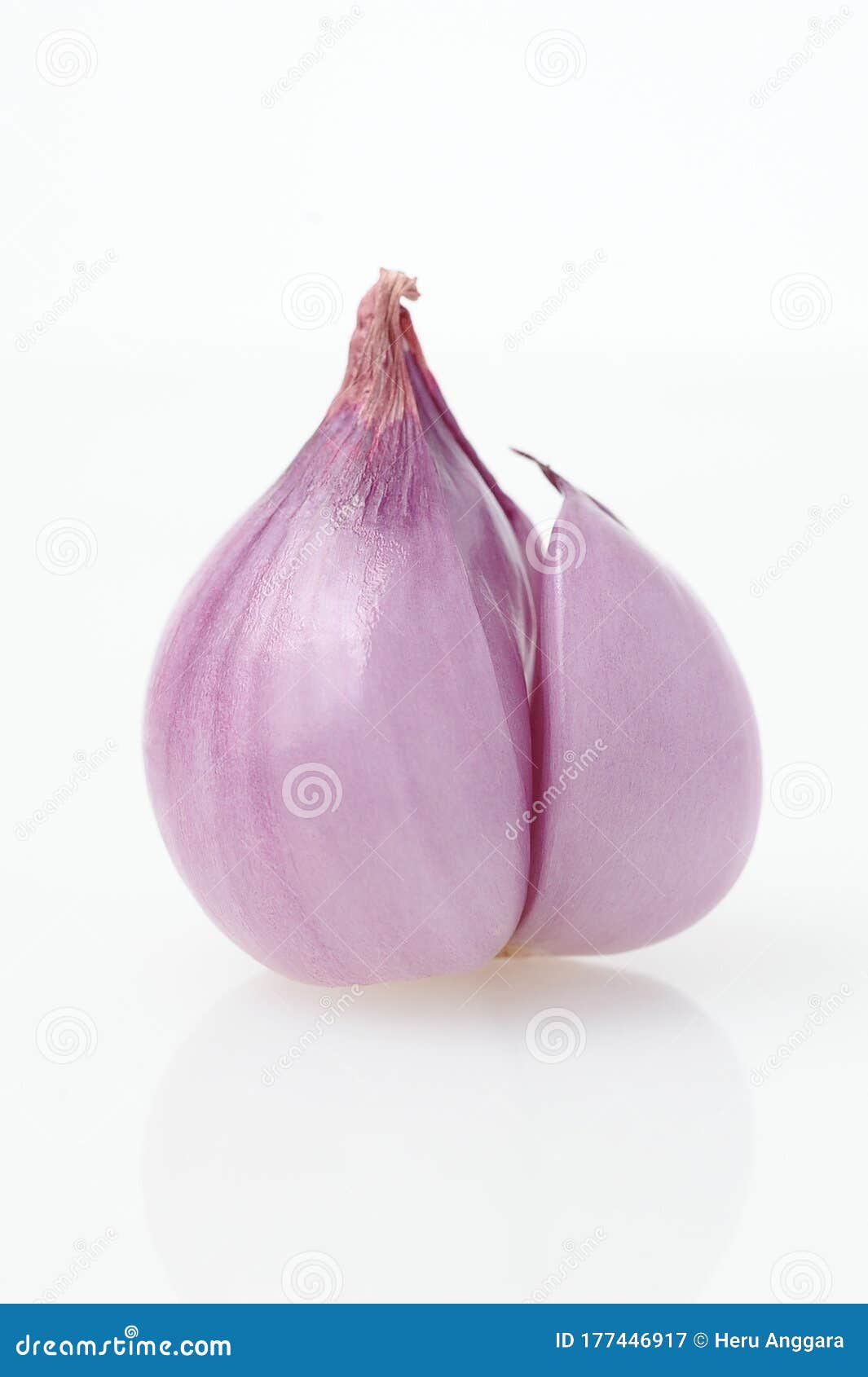 Close Up of Shallots or Red Spanish Onion Stock Image - Image of