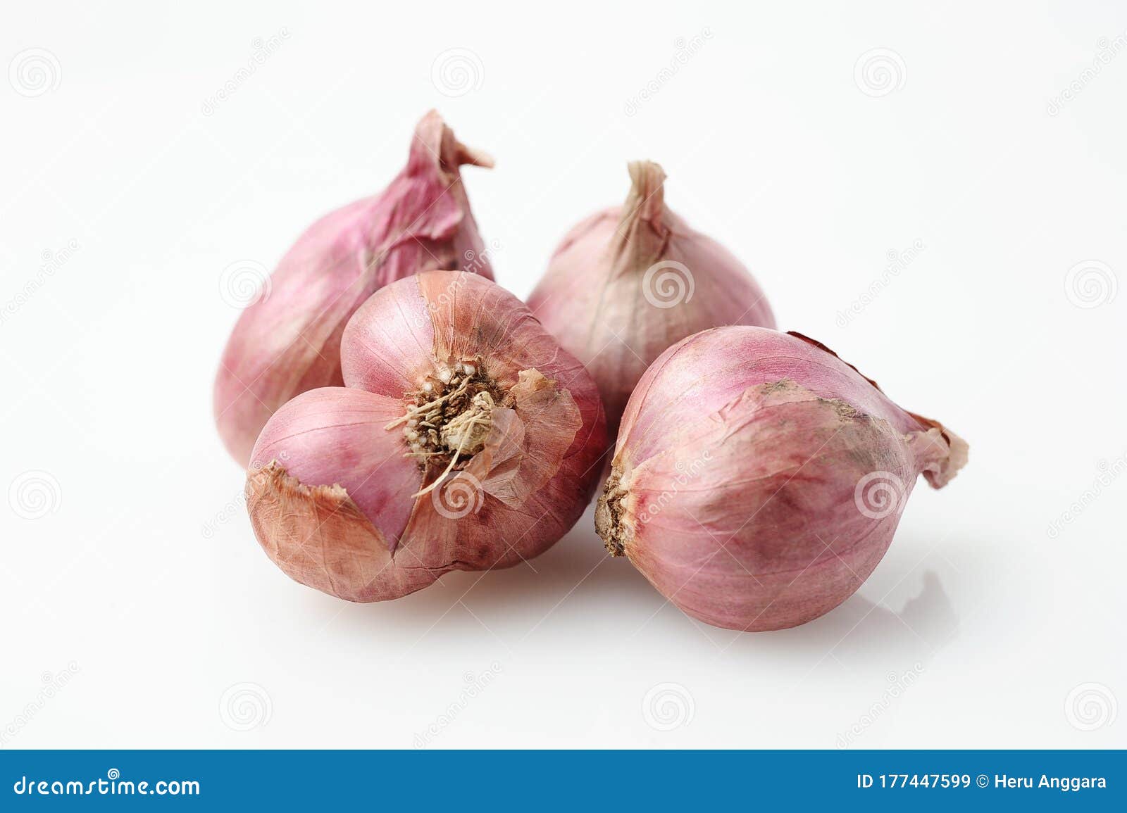 Close Up of Shallots or Red Spanish Onion Stock Image - Image of nutrition,  herb: 177447599