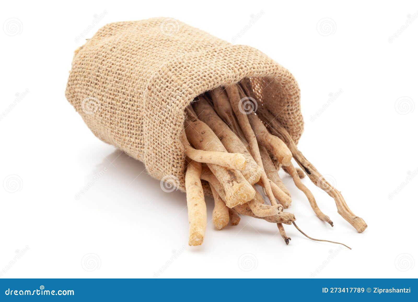close-up of shatavari roots, in laying jute bag over white background.