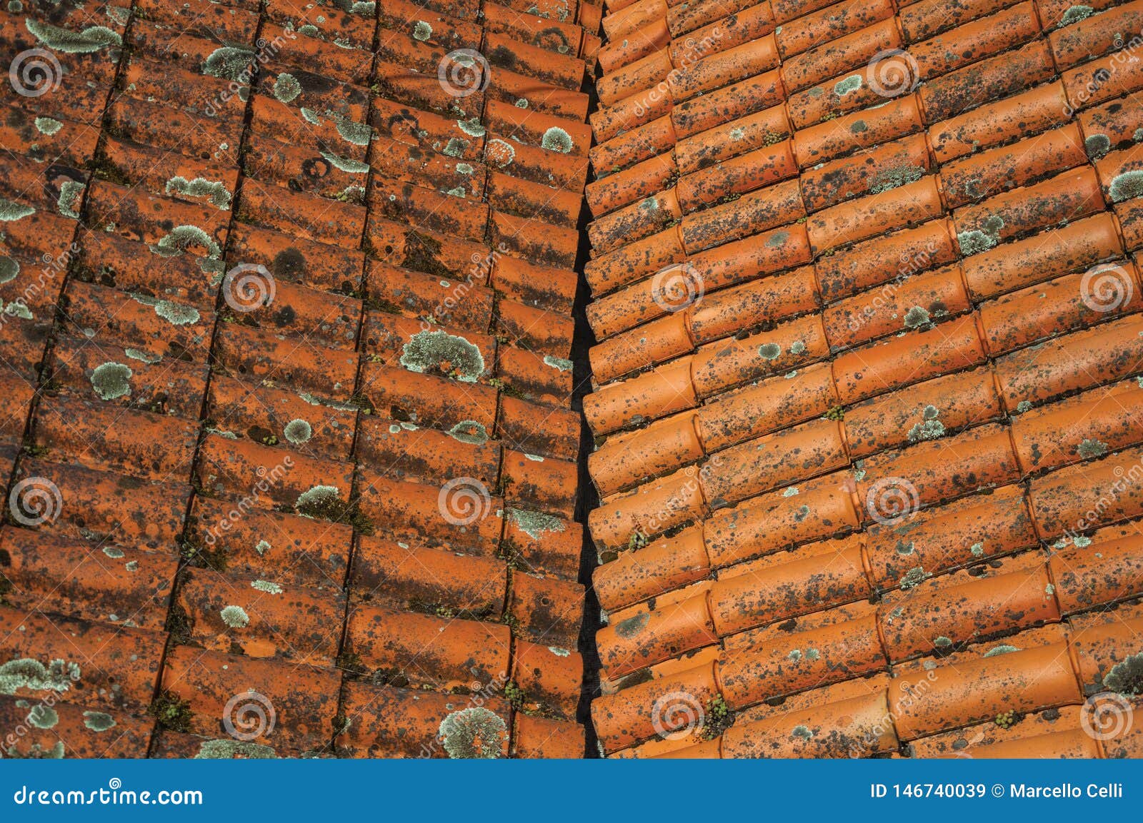 Shingles On Roof Covered By Moss And Lichens Stock Image Image Of