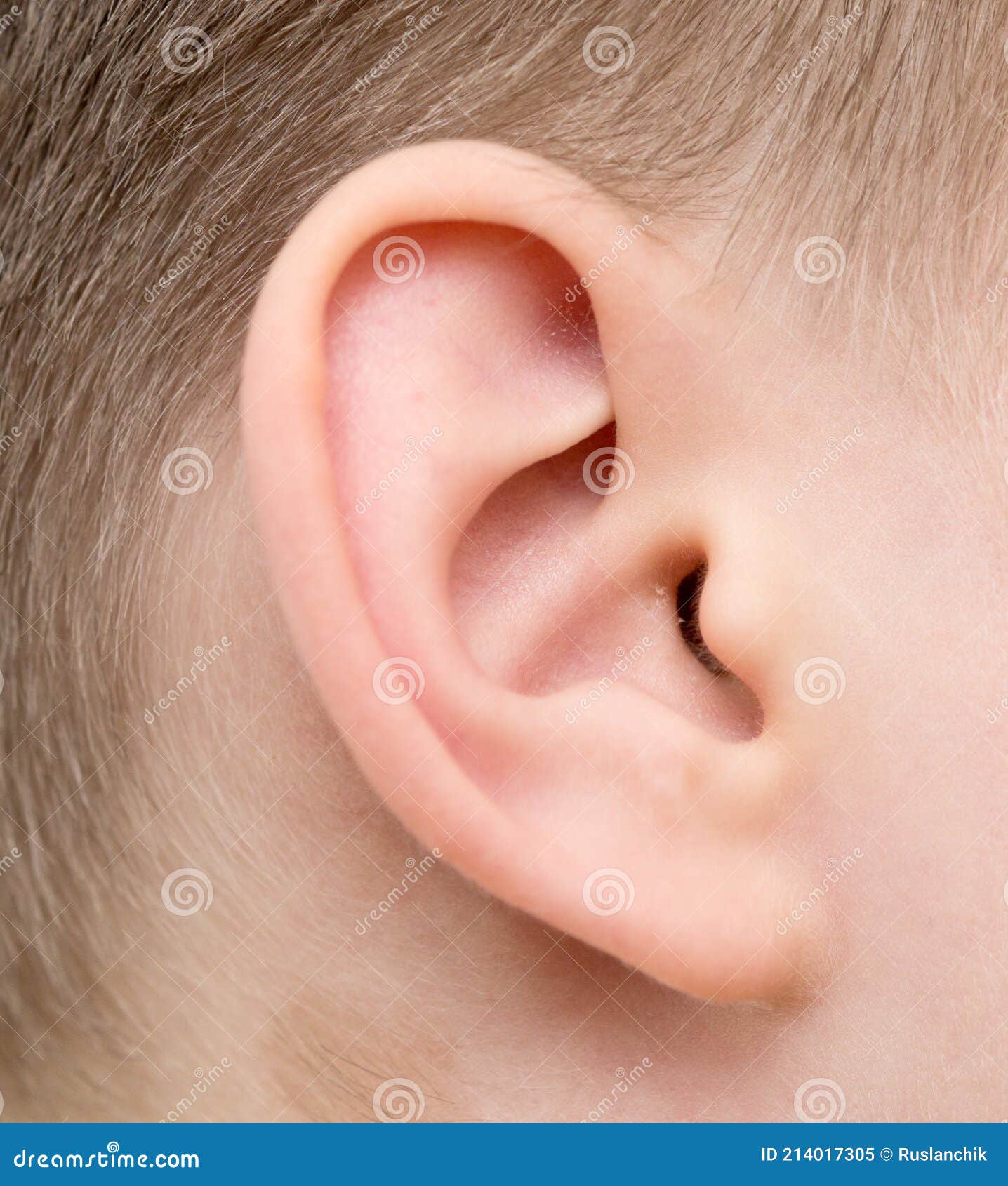 Baby ear stock image. Image of life, anatomy, beautiful 214017305