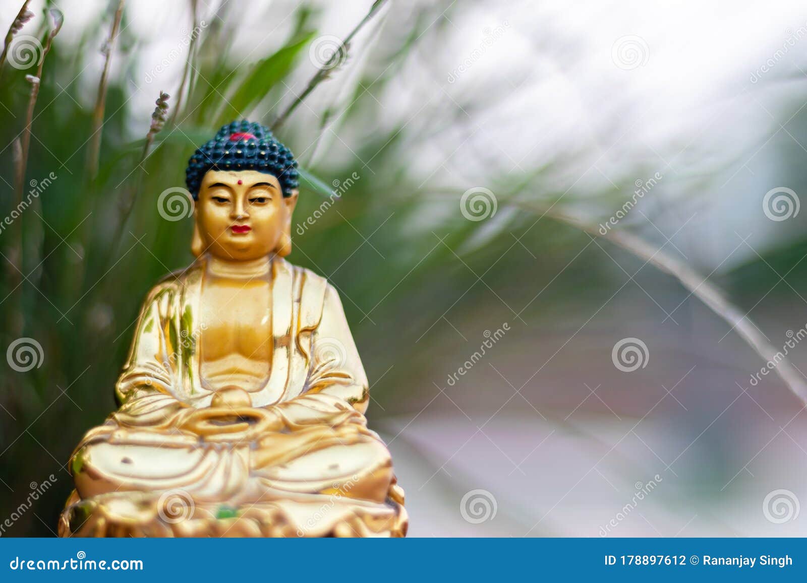 Close Up Shot of a Beautiful Buddha Statue with Green Grass ...
