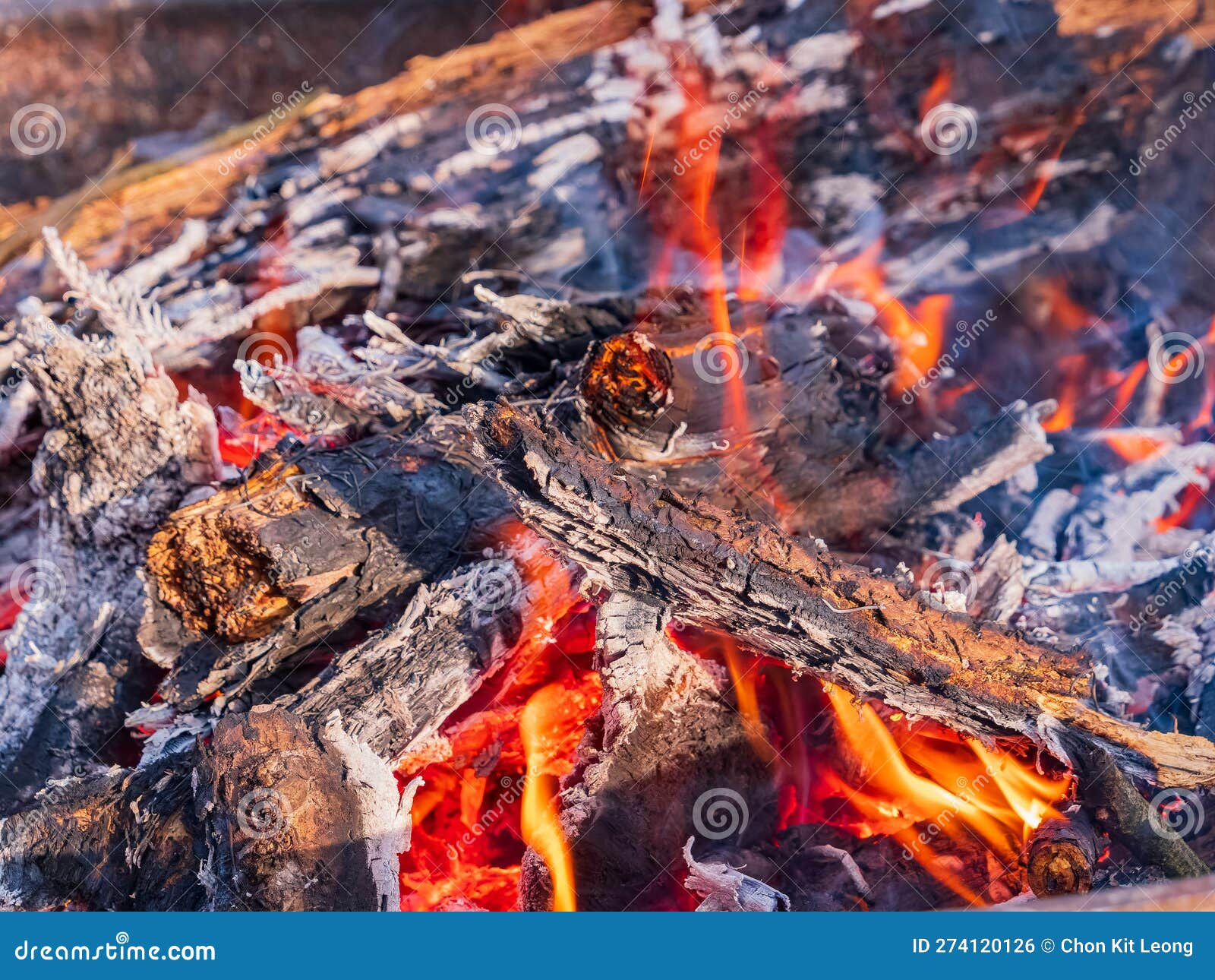 Close Up Shot of a Camp Fire in Beavers Bend State Park Stock Photo