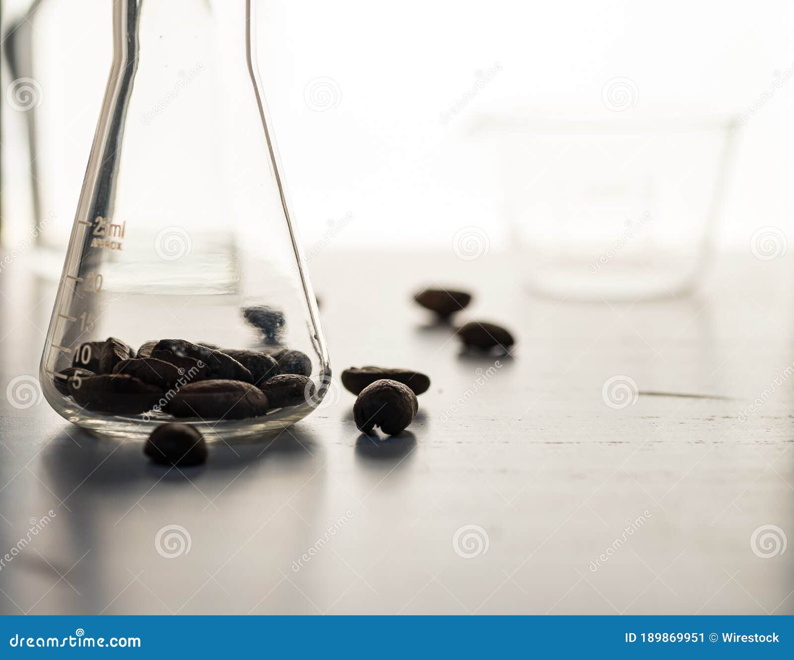 Close Up Shot of Coffee Beans in Laboratory Glassware Stock Image