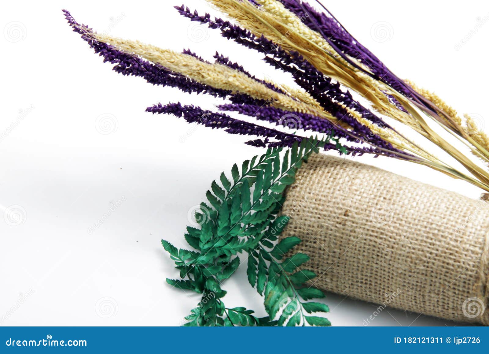 close up shot of dried common lady-fern leafs and foxtail millet