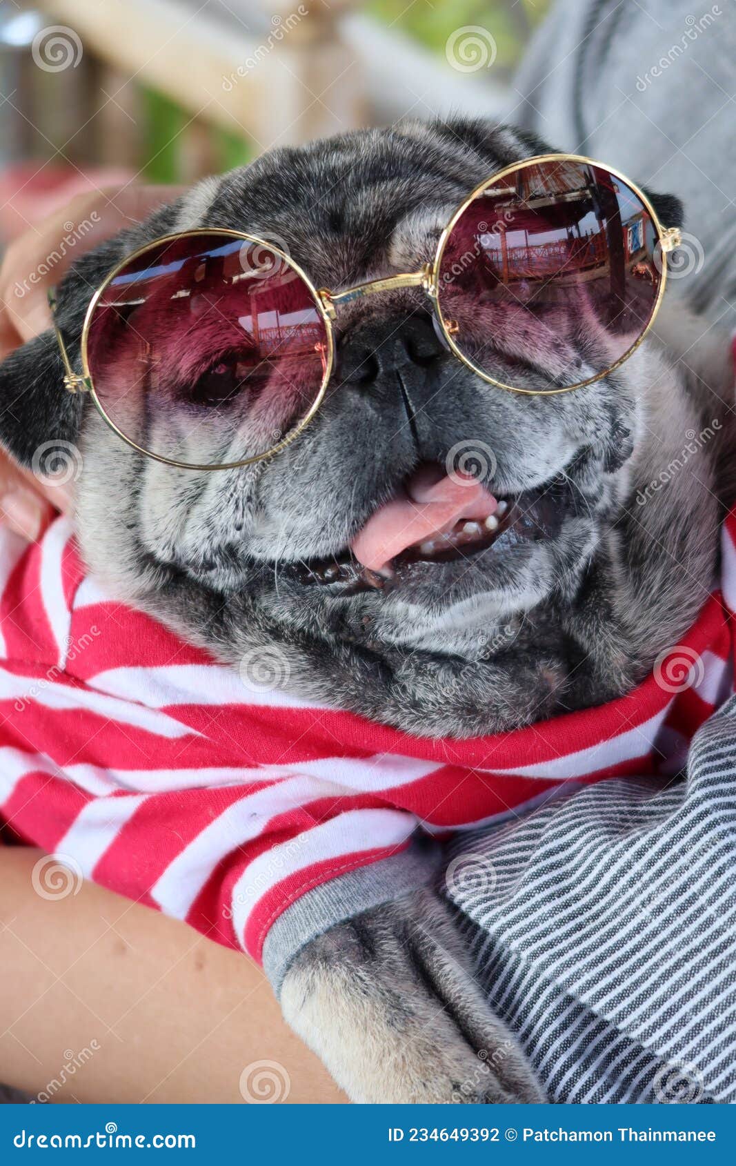 Thick Chunky Rectangle Sunglasses For Women Men Modern Small Square Sun  Glasses Fashion Fat Narrow Frame Sunnies | Fruugo NO
