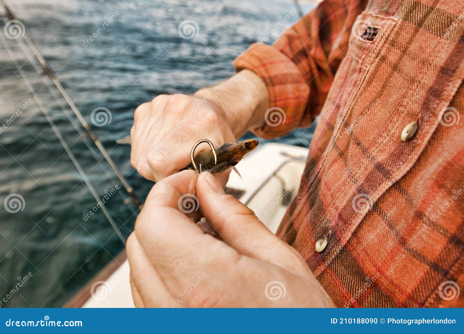 313 Baiting Hook Stock Photos - Free & Royalty-Free Stock Photos from  Dreamstime
