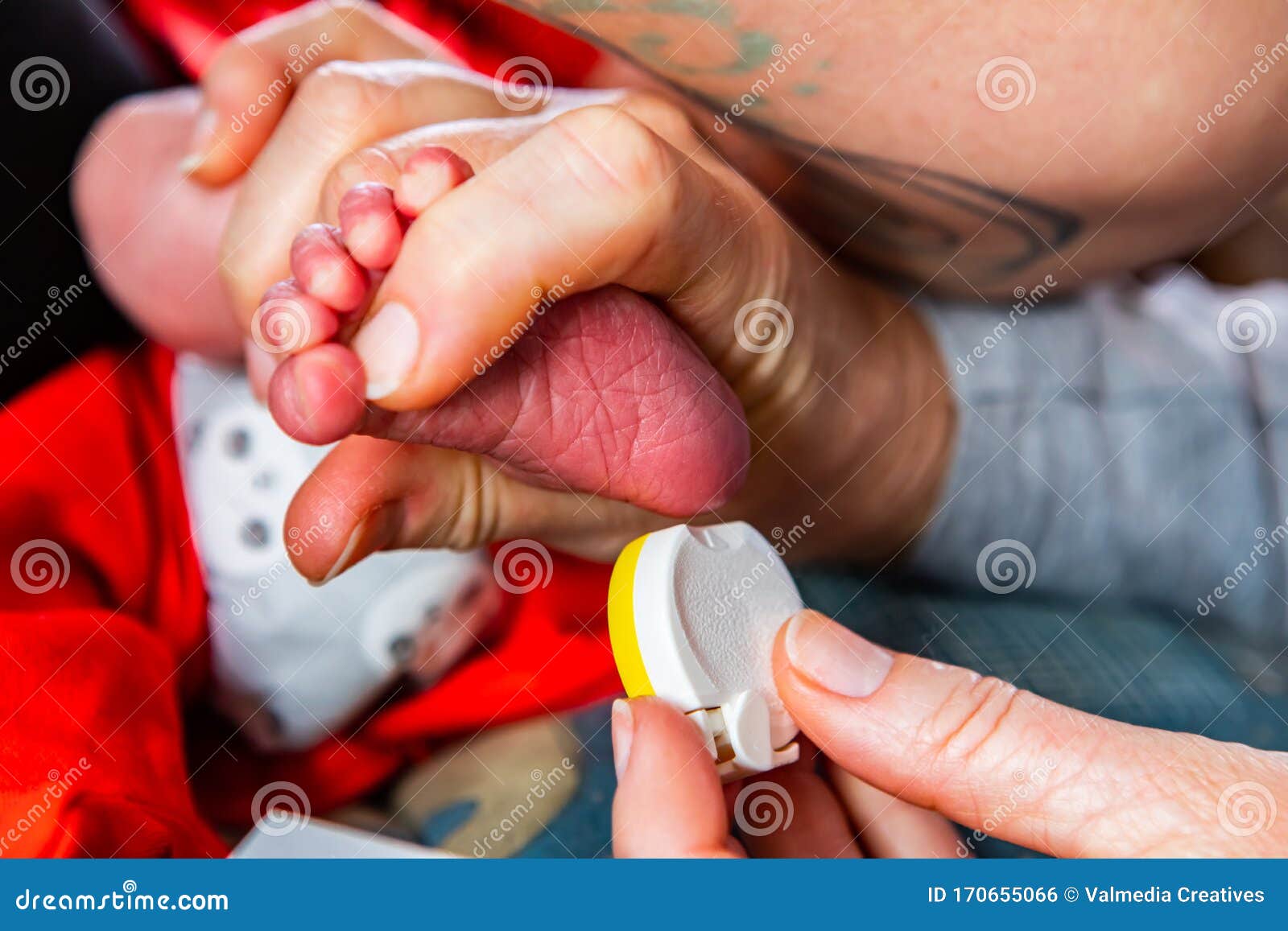 obstetrician checks newborn infant