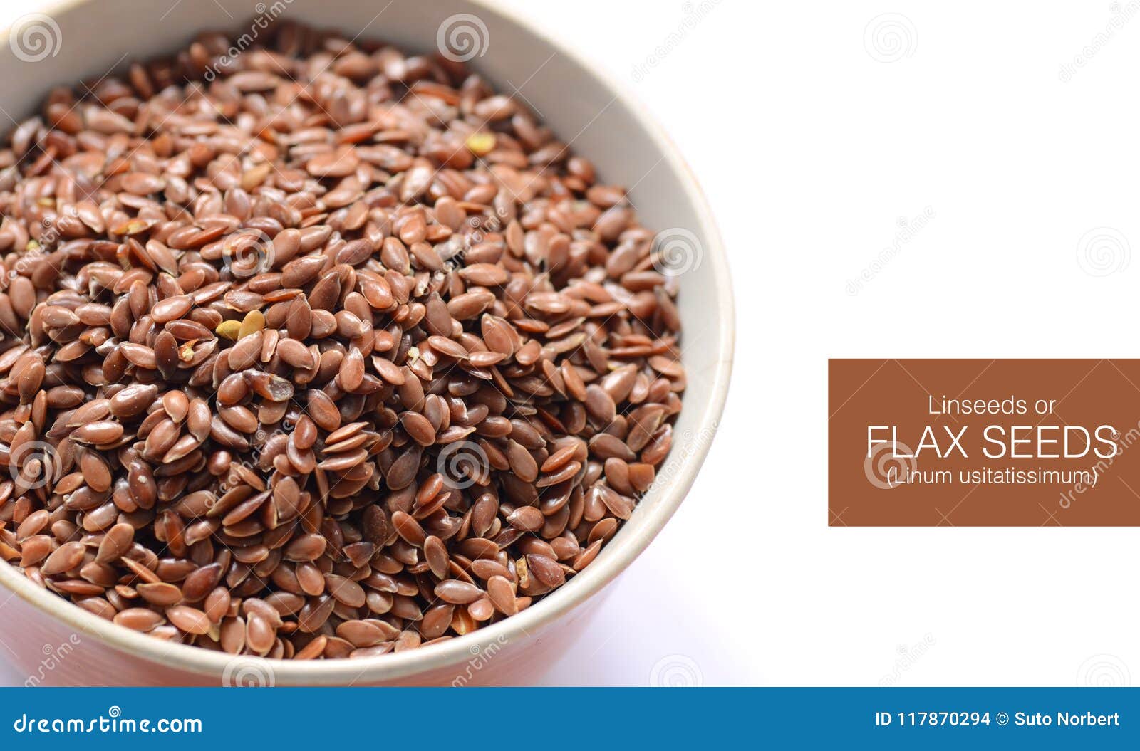 Organic Flax seed stock photo. Image of linum, brown 117870294