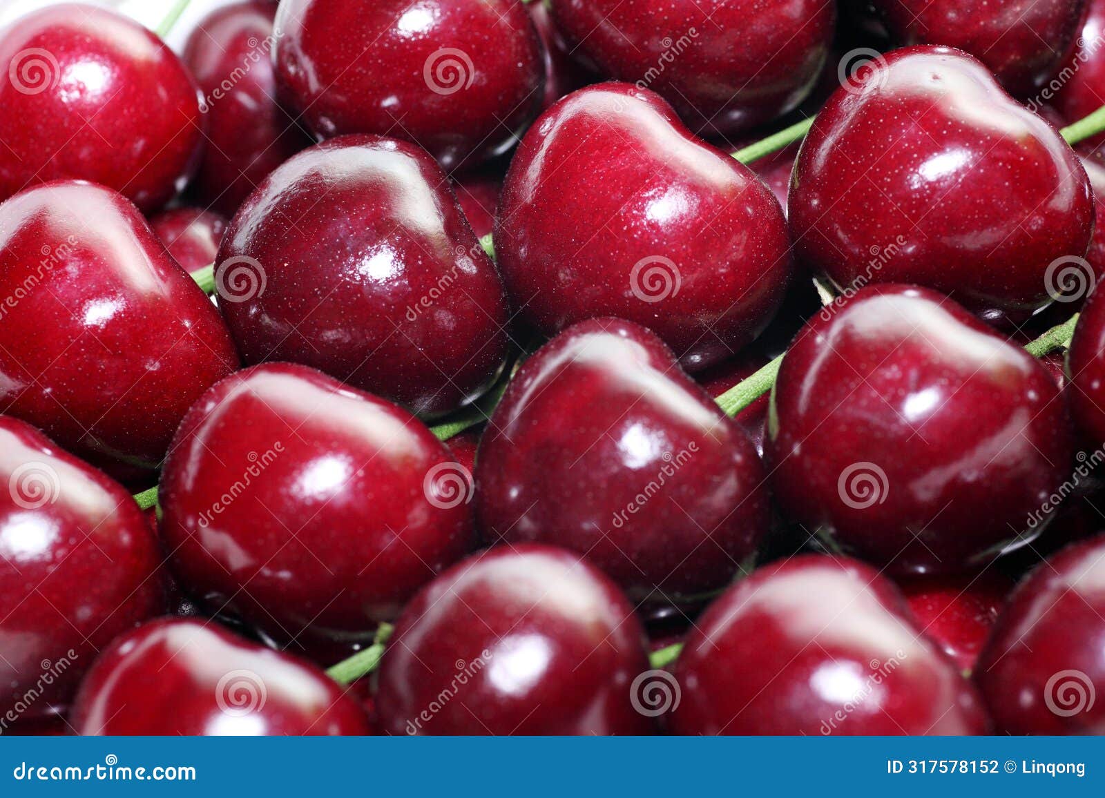 close up shot of organic red cherries.