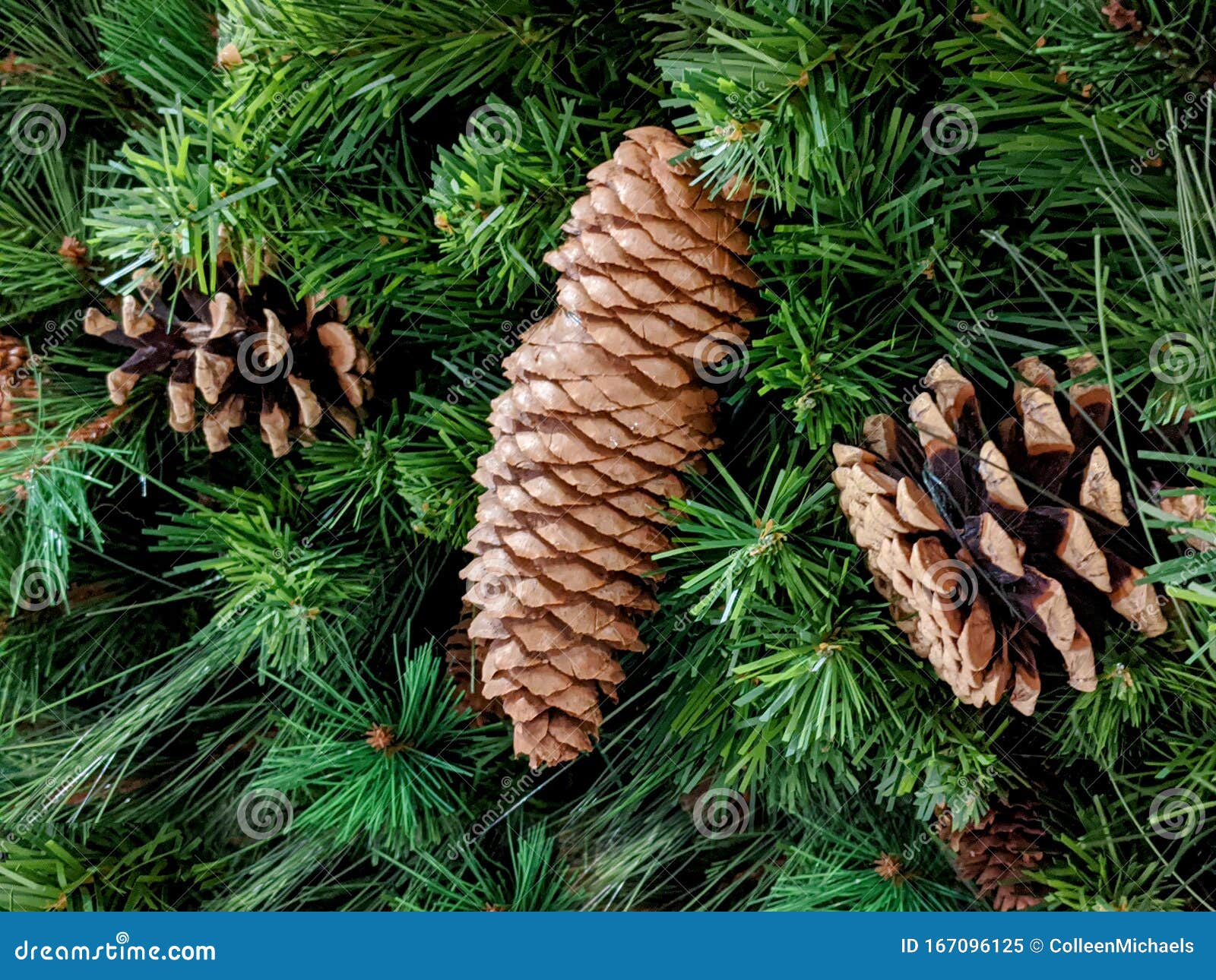 Pine Cones Decorating a Festive, Holiday Wreath for the Christmas ...