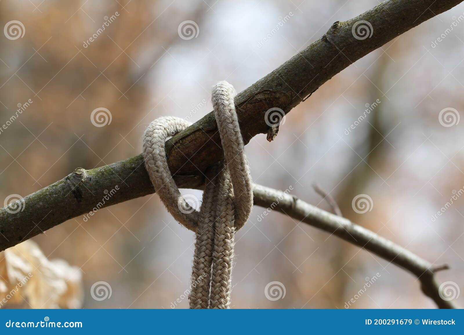 Rope Tied Around Tree Branch Stock Photos - Free & Royalty-Free Stock  Photos from Dreamstime