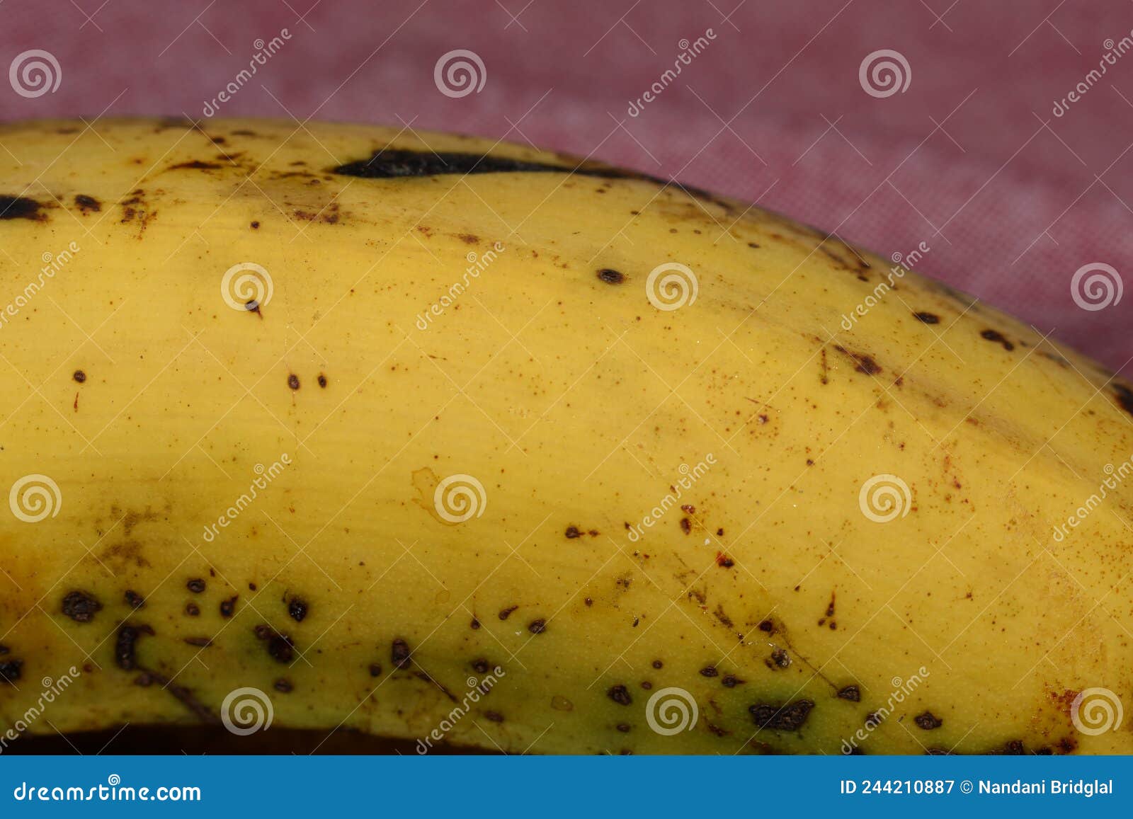 close up shot of yellow or ripened plantains or cooking bananas