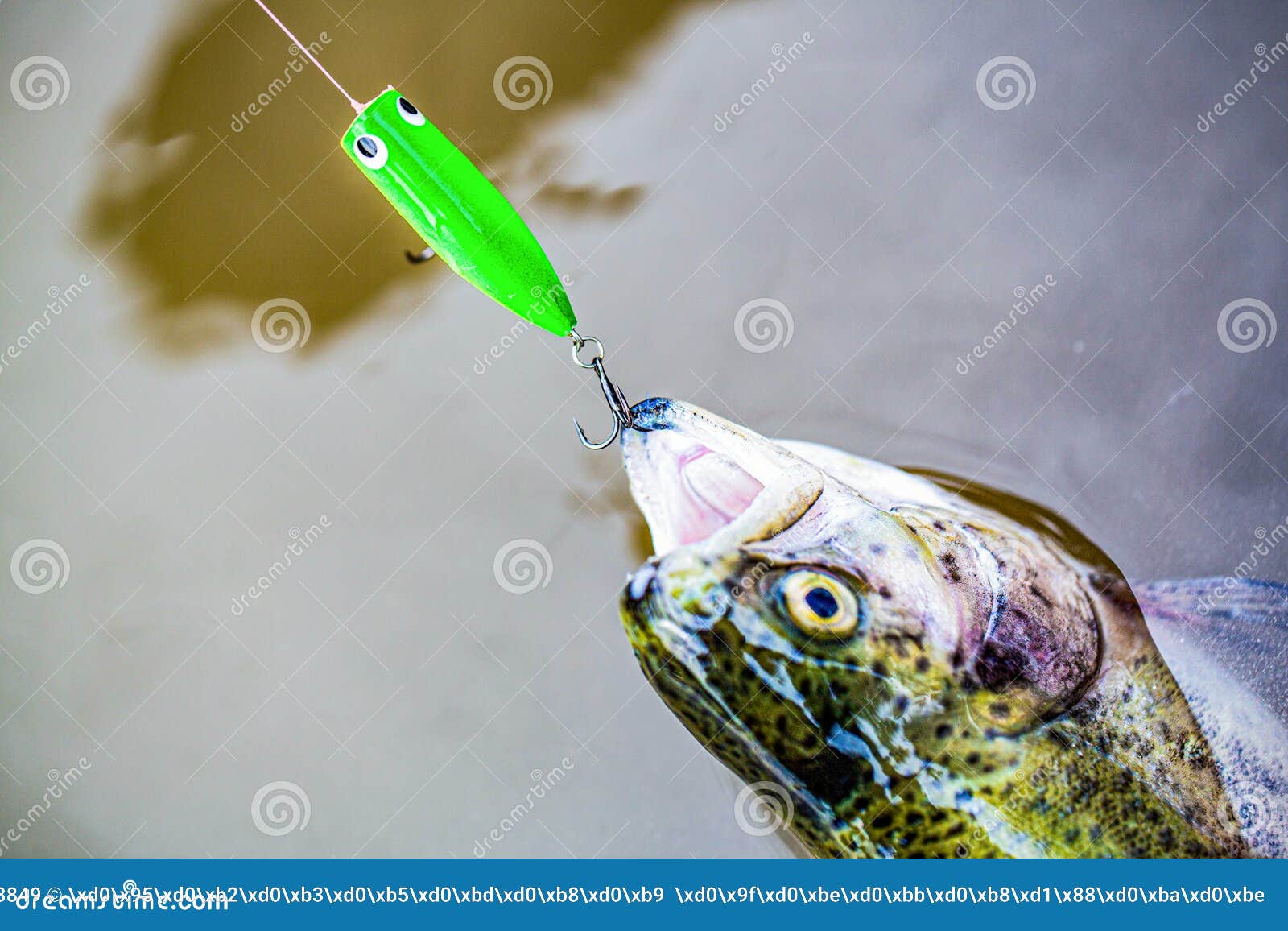 Close-up Shut of a Fish Hook. Fisherman and Trouts. Spinning