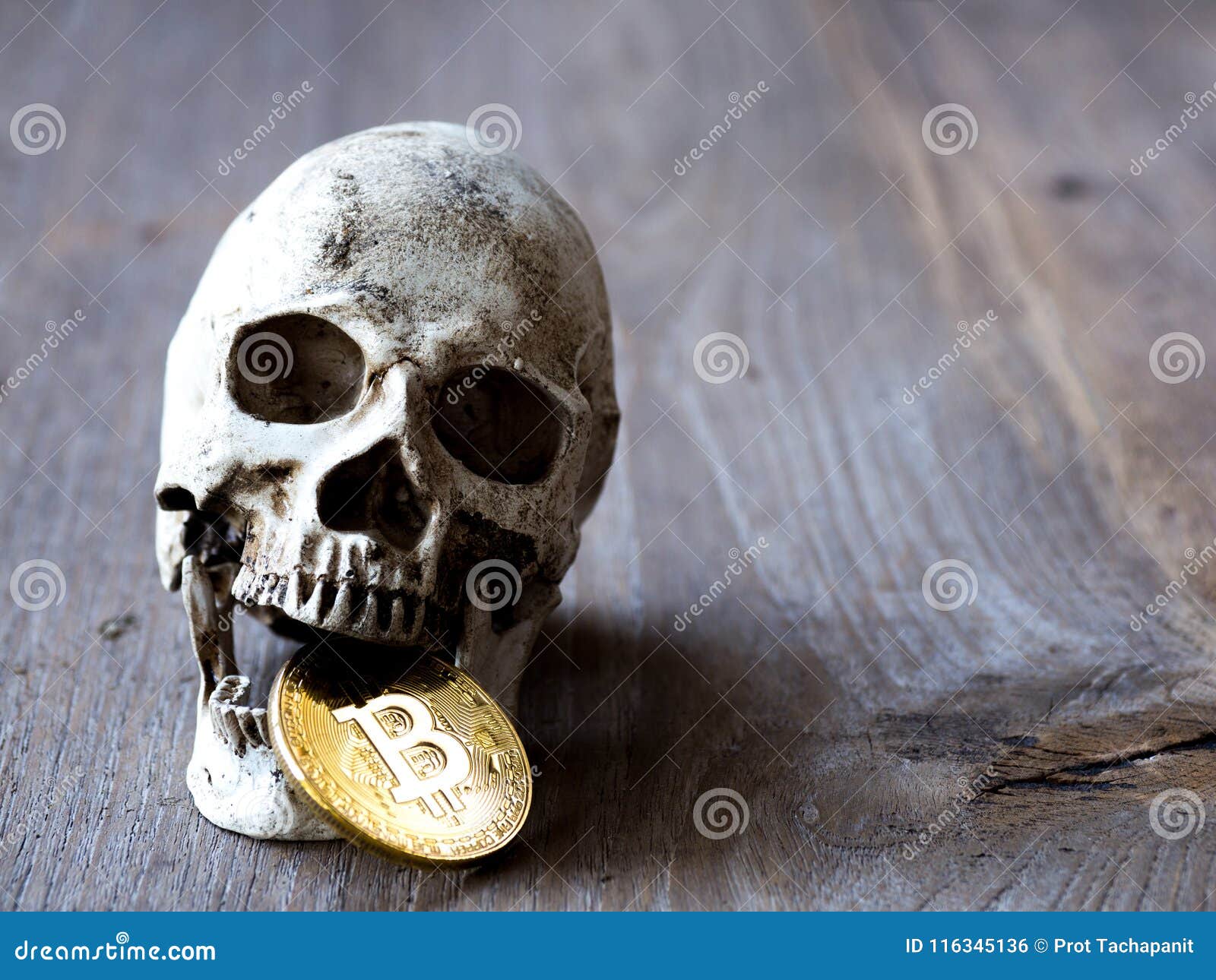 skull coin crypto