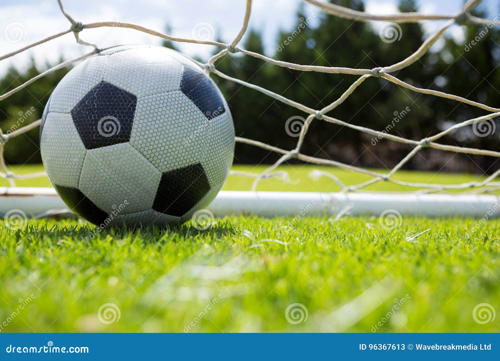 Close Up of Soccer Ball in Goal Post Stock Image Image of playing