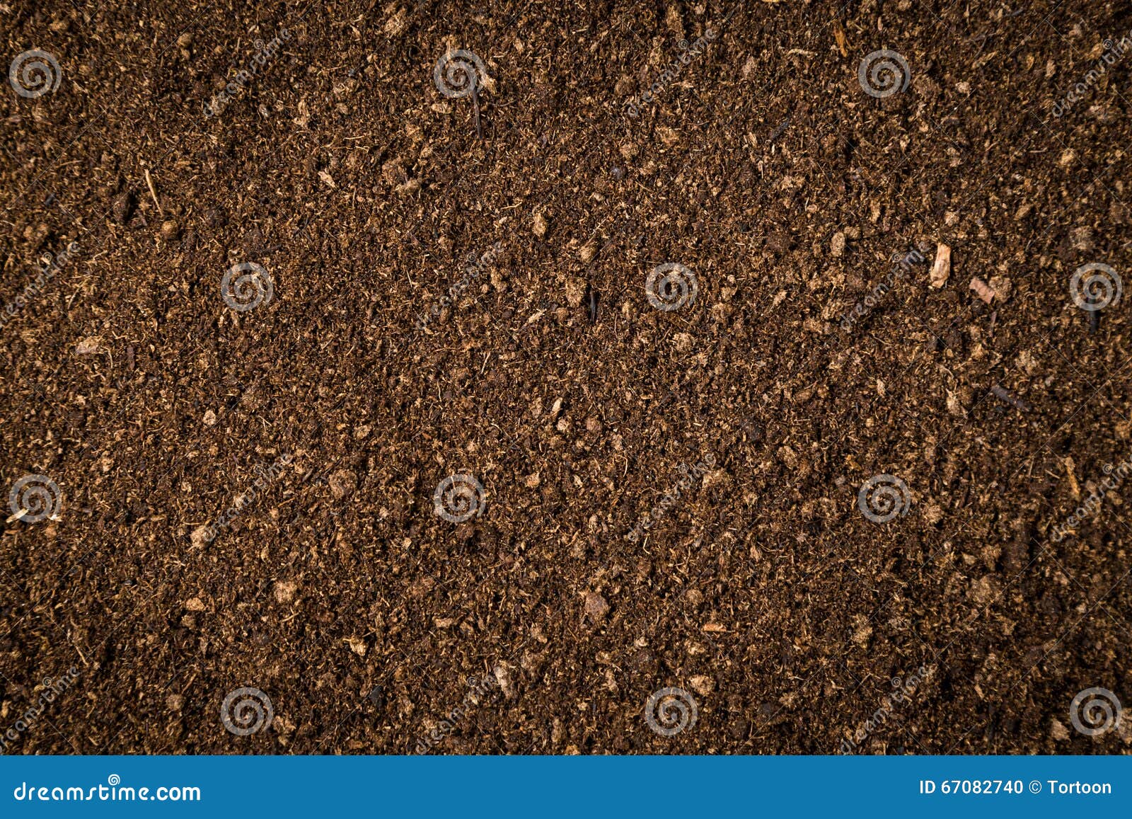 Soil Peat Moss Dirty Background And Texture RoyaltyFree Stock