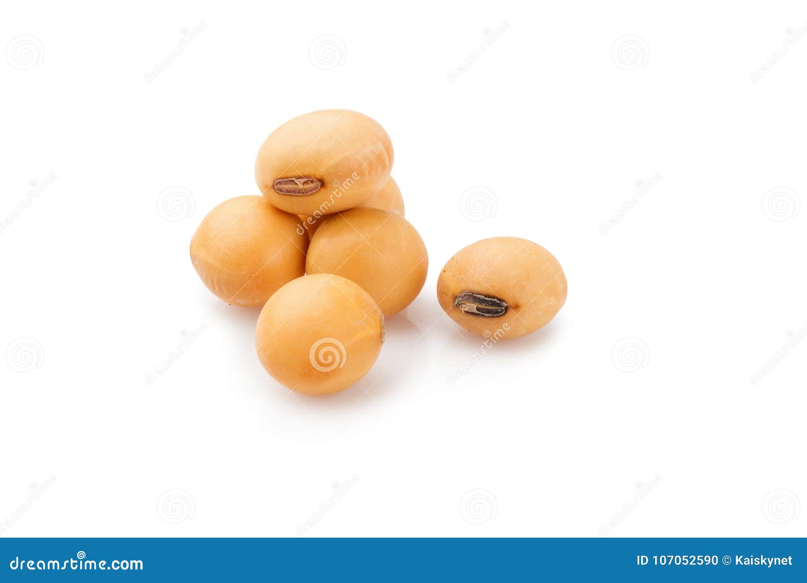 Close Up Soybean Isolated on a White Background Stock Photo - Image of ...