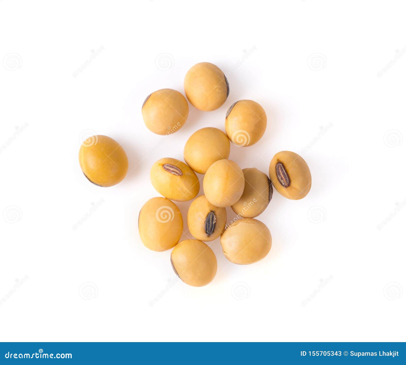 Close Up Soybean Isolated On A White Background. Stock Image - Image of ...