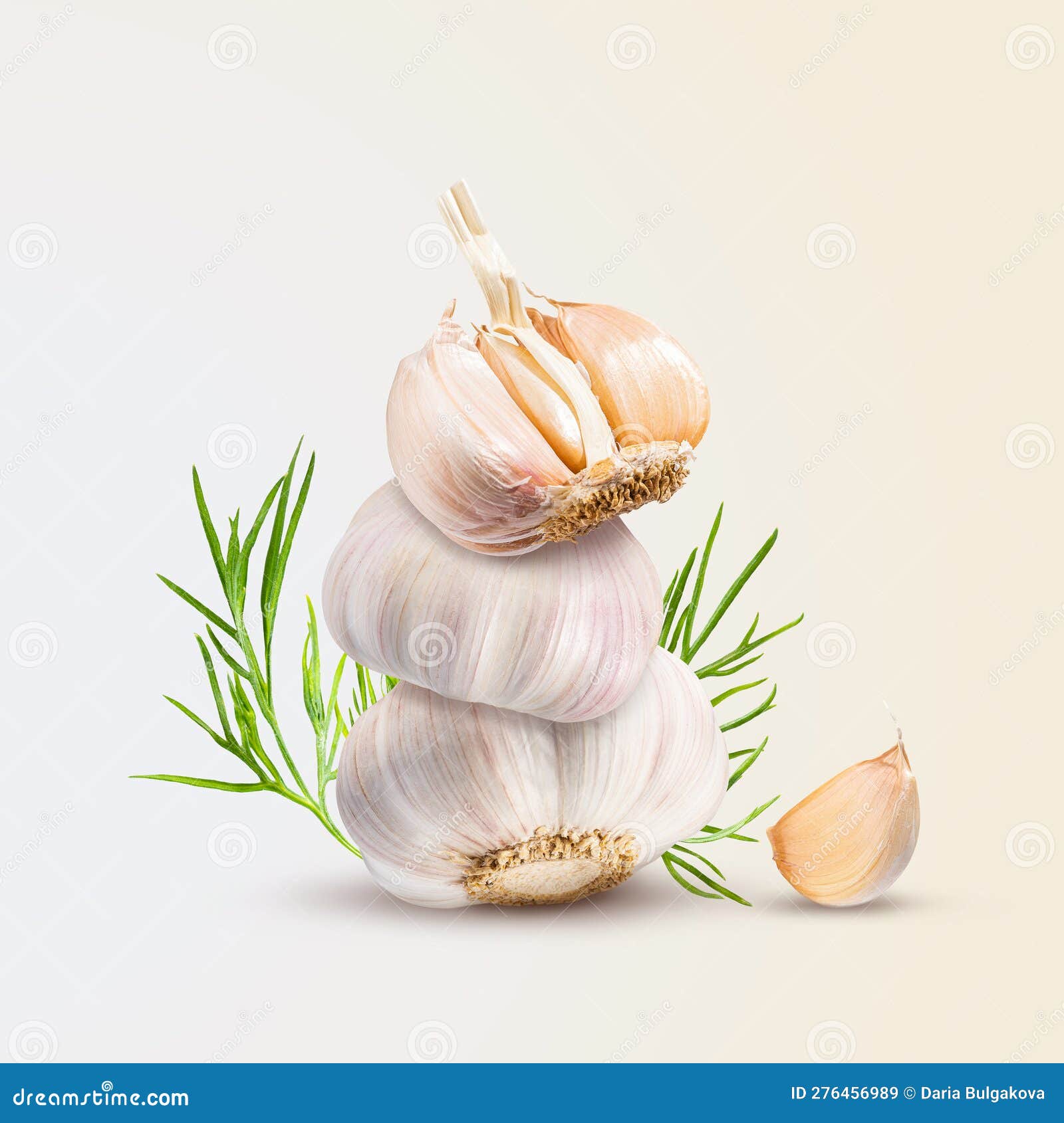 Closeup of a Stack of Organic Garlic, Garlic Cloves and Dill on a
