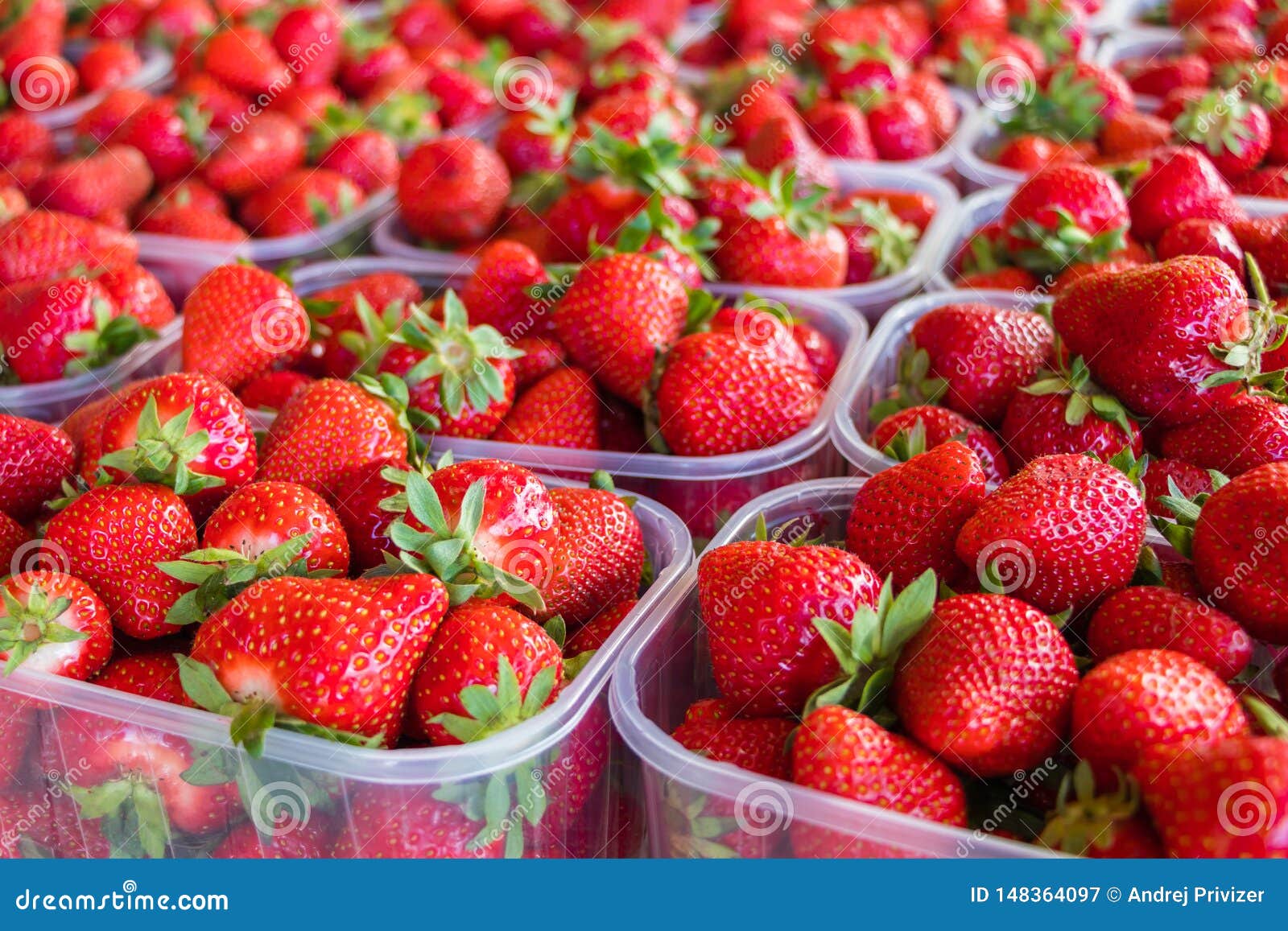 Close Up of Strawberries Displayed in Plastic Boxes Stock Image Image