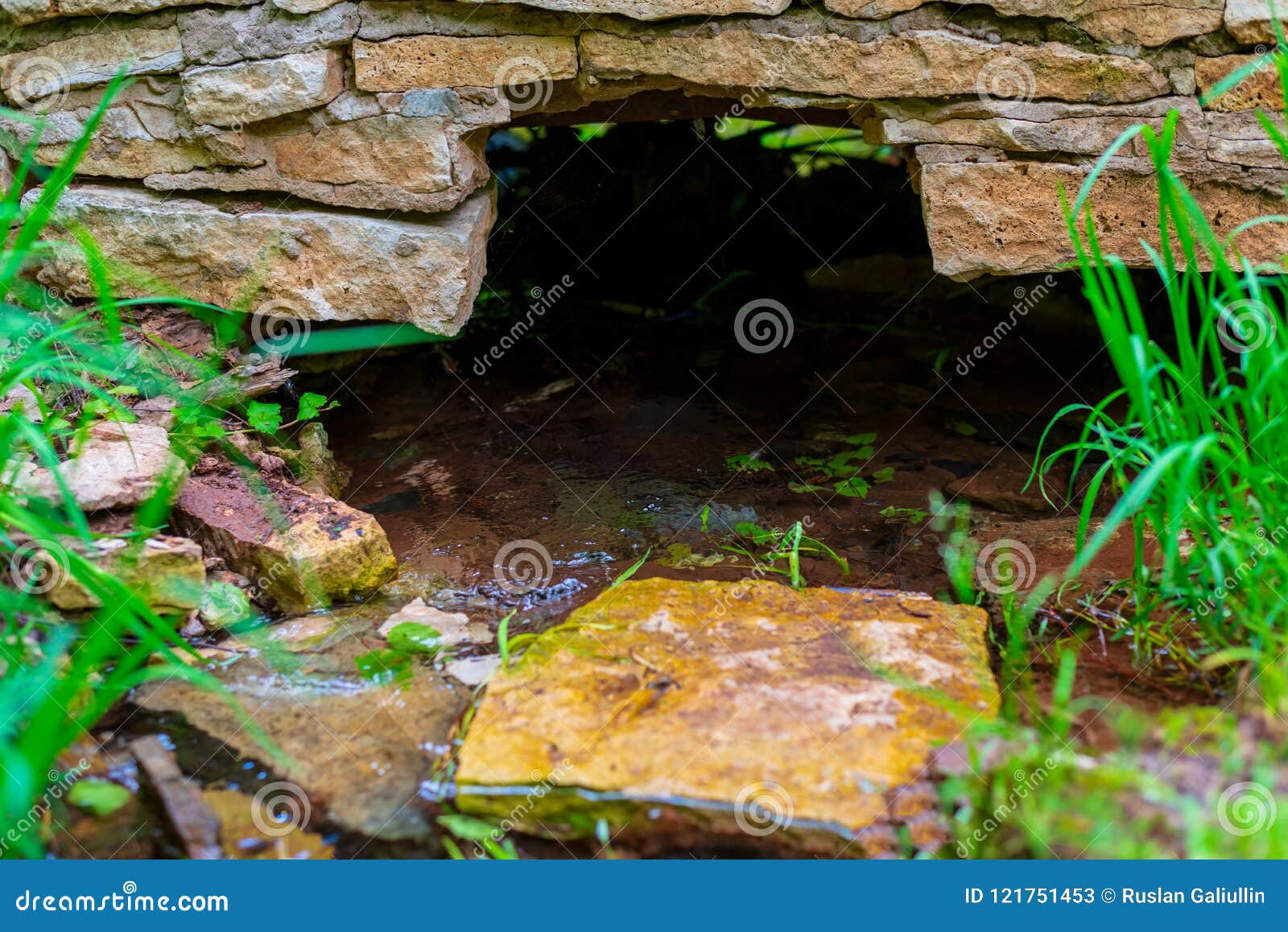 Close Up of a Stream of Clean Water in the Grass from an Underground