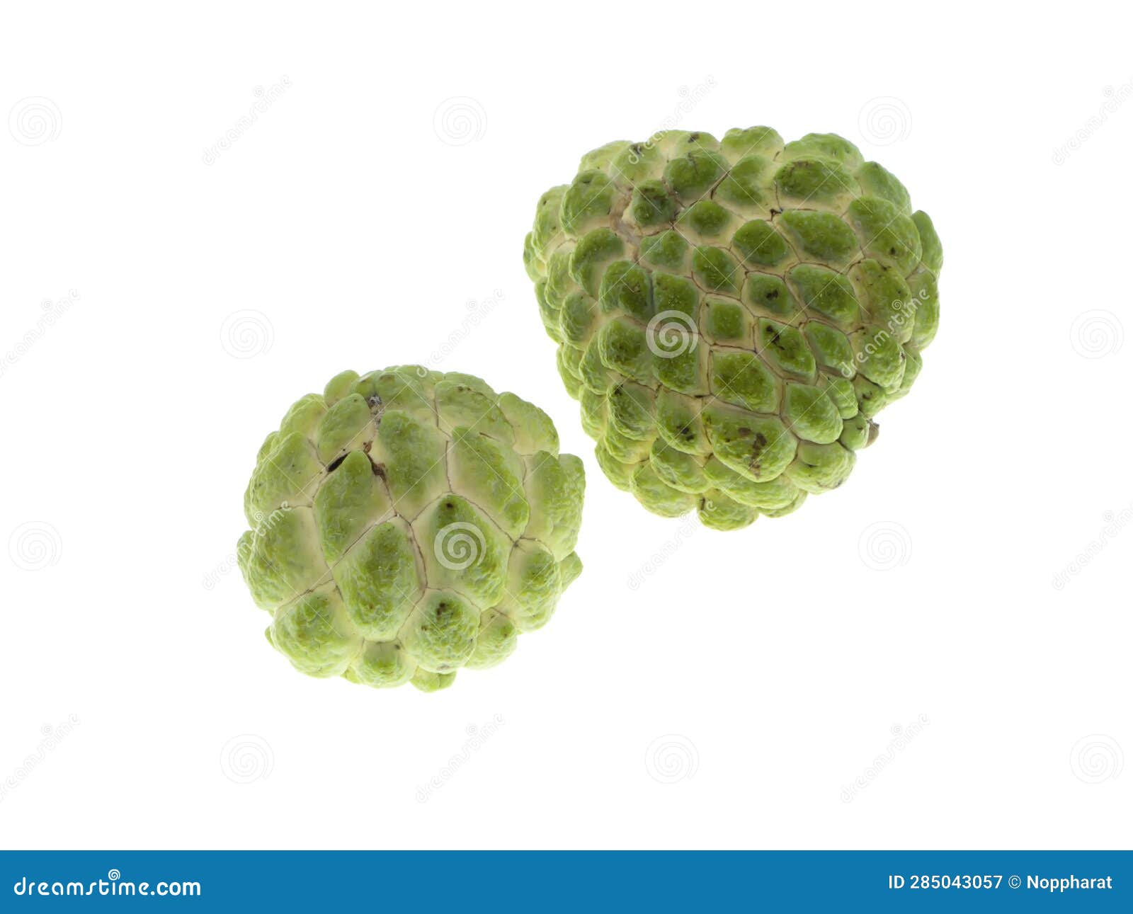 Sugar Apple on White Background Stock Image Image of apple, nutrition