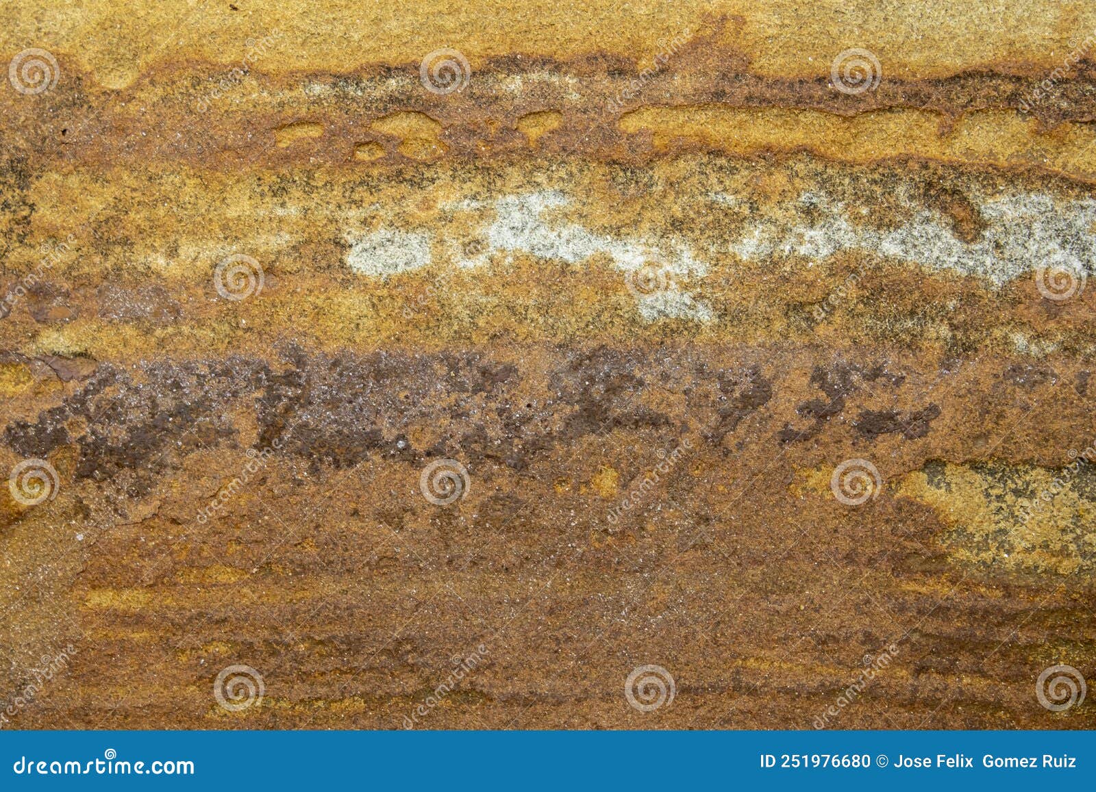 Closeup of the Surface of Marine Rocks at Low Tide Stock Photo Image