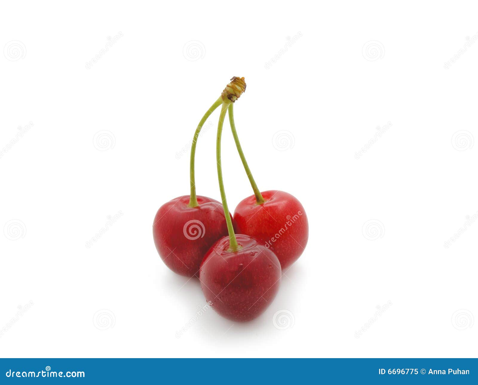 Close-up of Sweet Cherry on White. Stock Image - Image of freshness ...
