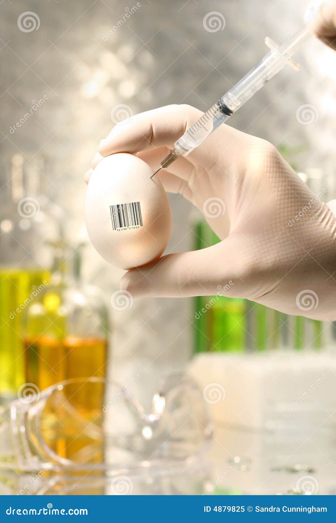 close-up of syringe injecting egg