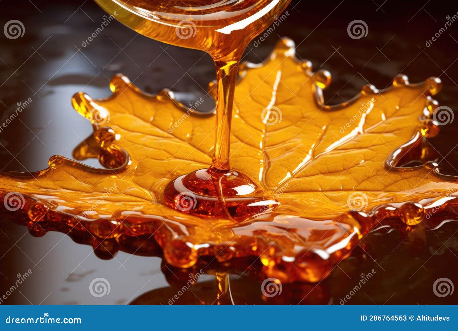 Closeup of Syrup Dripping from a Maple Leaf Stock Image Image of