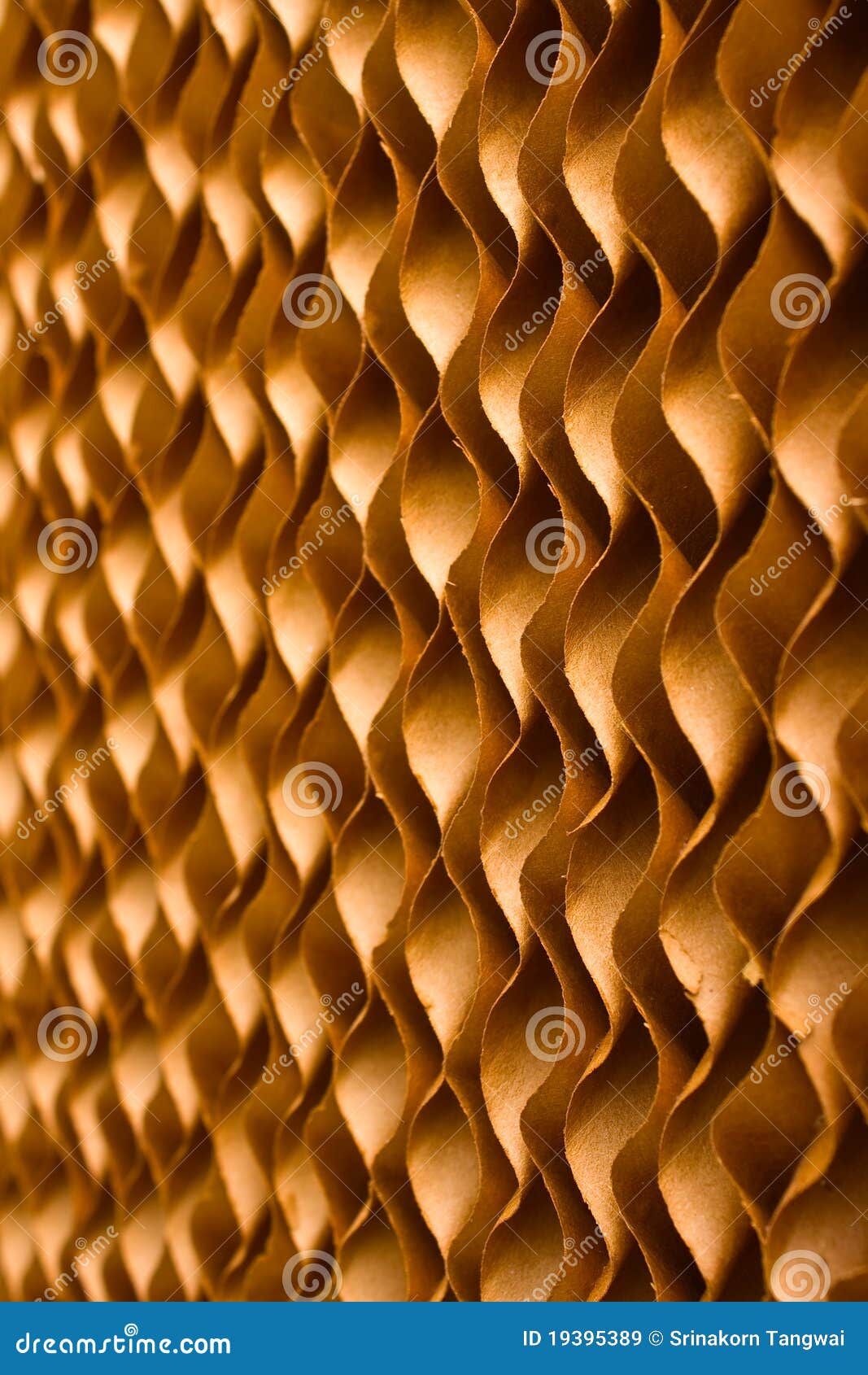 303 Cellulose Pad Stock Photos - Free & Royalty-Free Stock Photos from Dreamstime