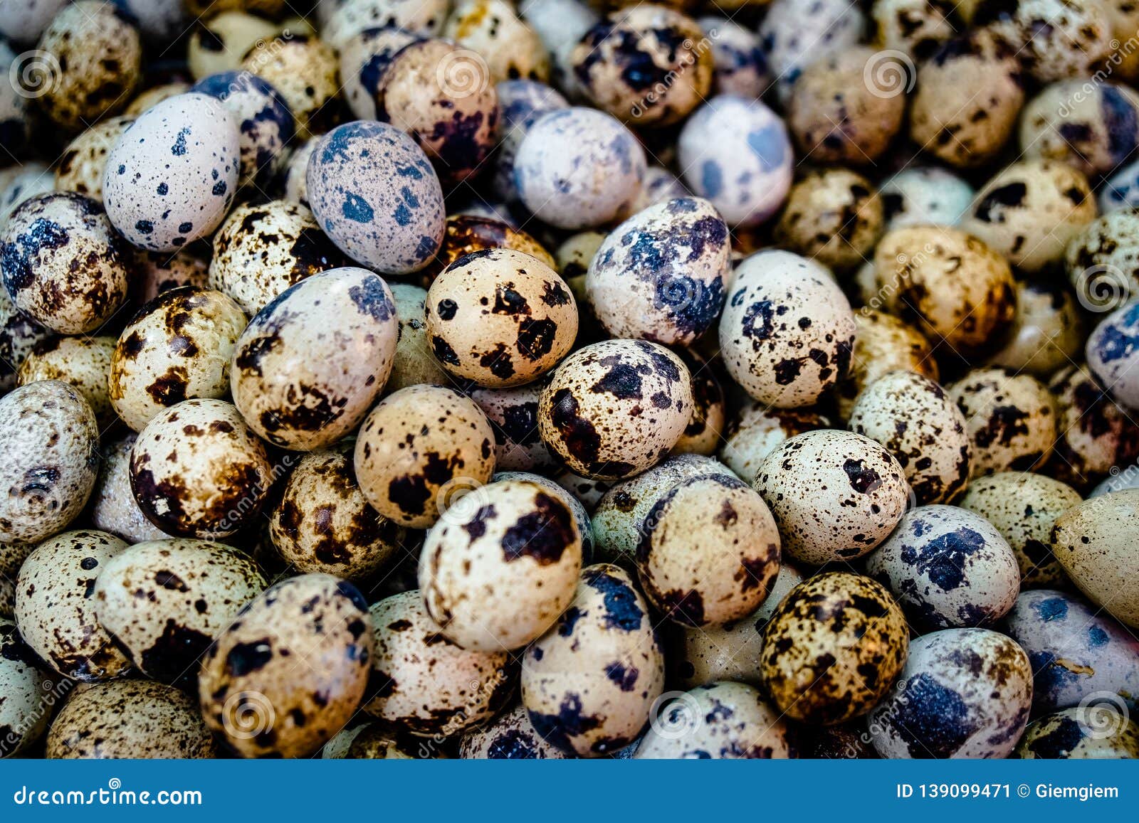 Close Up Textured Background of Quail Eggs. High Protein for Diet Stock