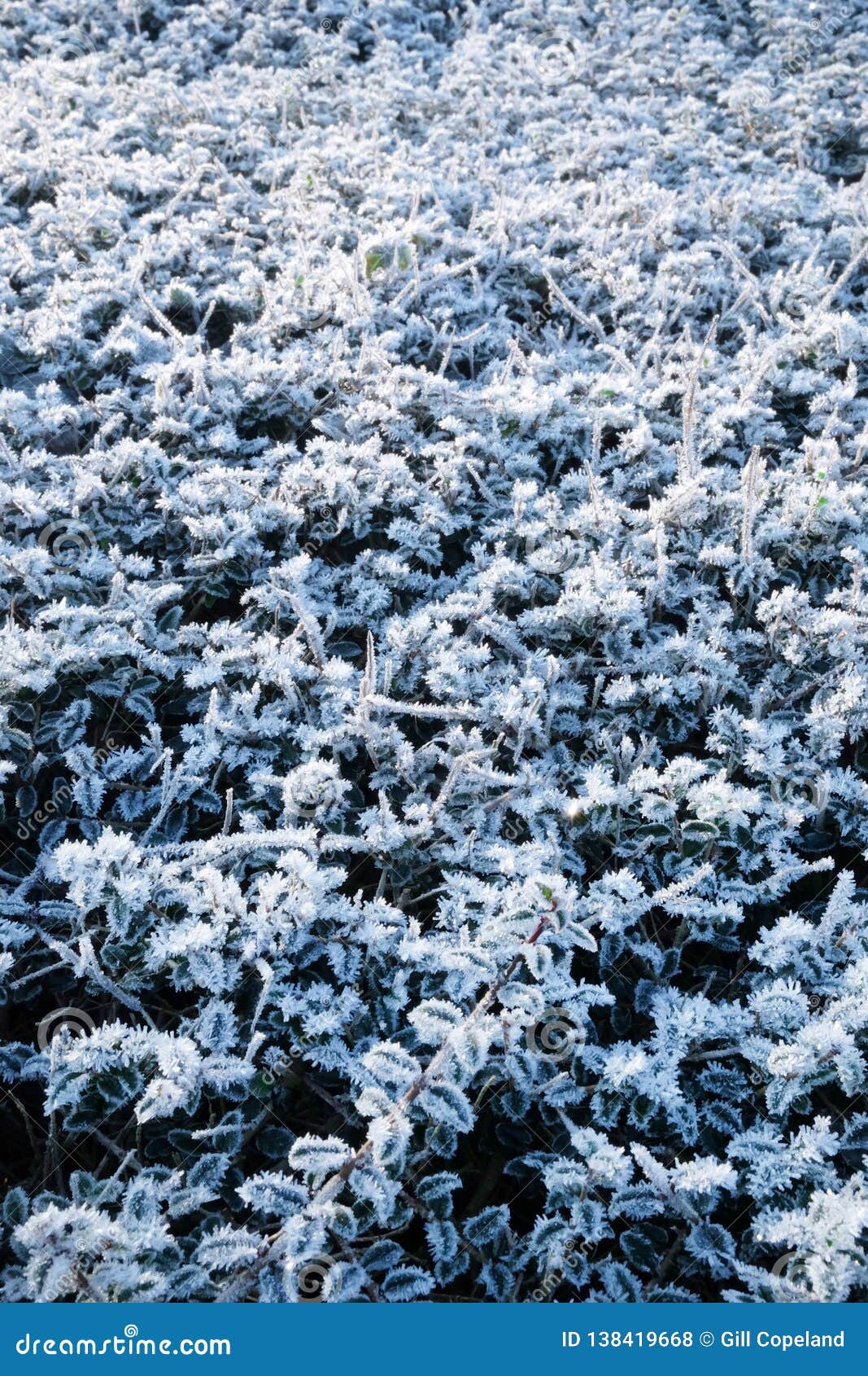 frost mound