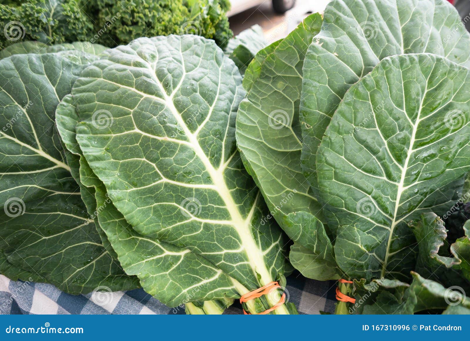 Close Up of Three Bundles of Fresh Collard Greens Stock Photo Image