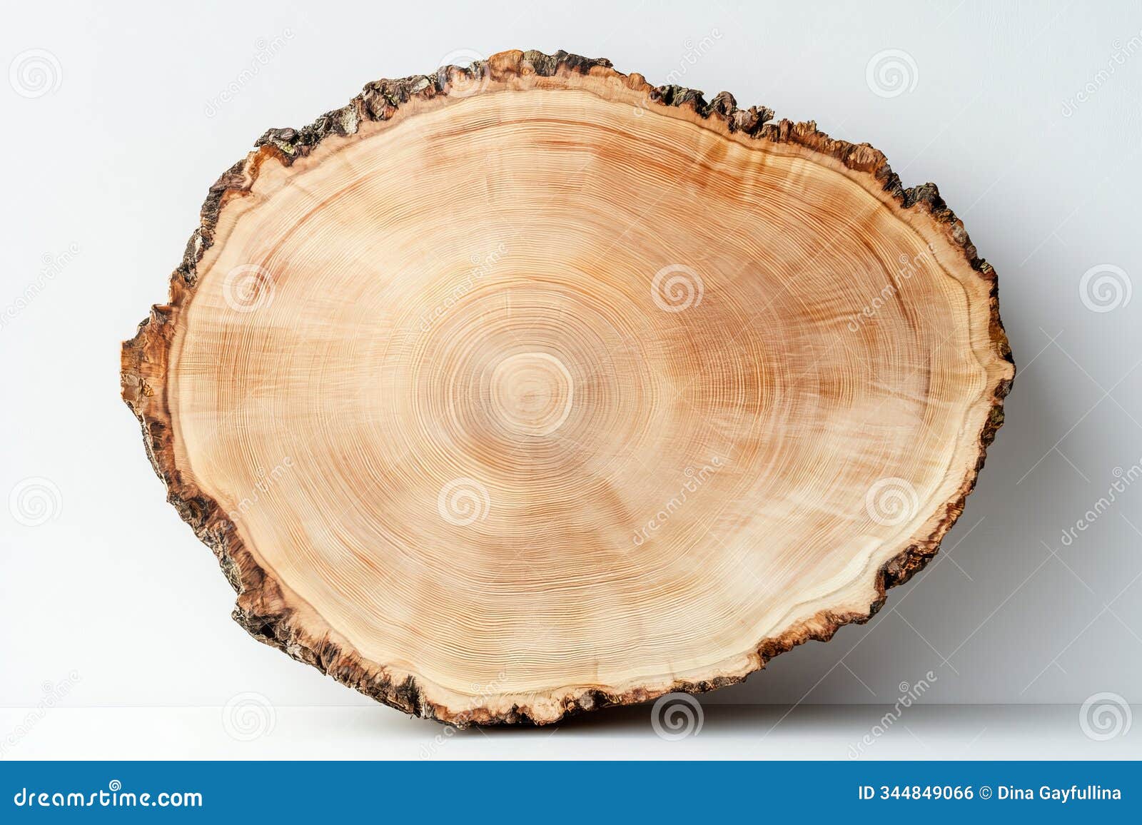 close-up of a tree cross-section showing growth rings, izing nature and time passage.