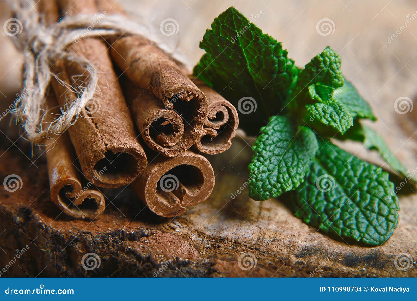 Closeup Twisted Sticks of Cinnamon Bundle, Green Leaves of Fresh Mint
