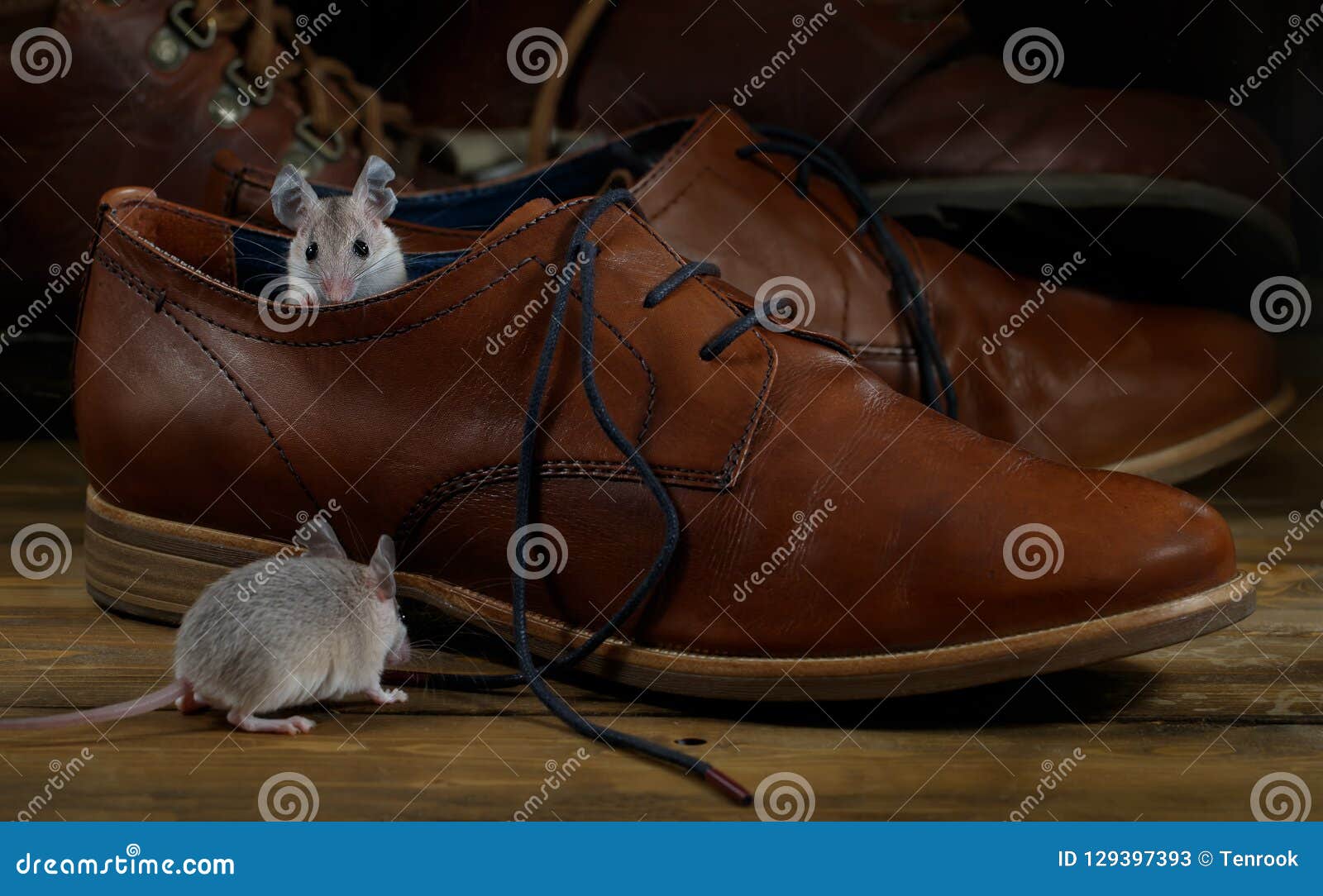 Close Up Two Mice And Leather Brown Shoes On The Wooden Floors