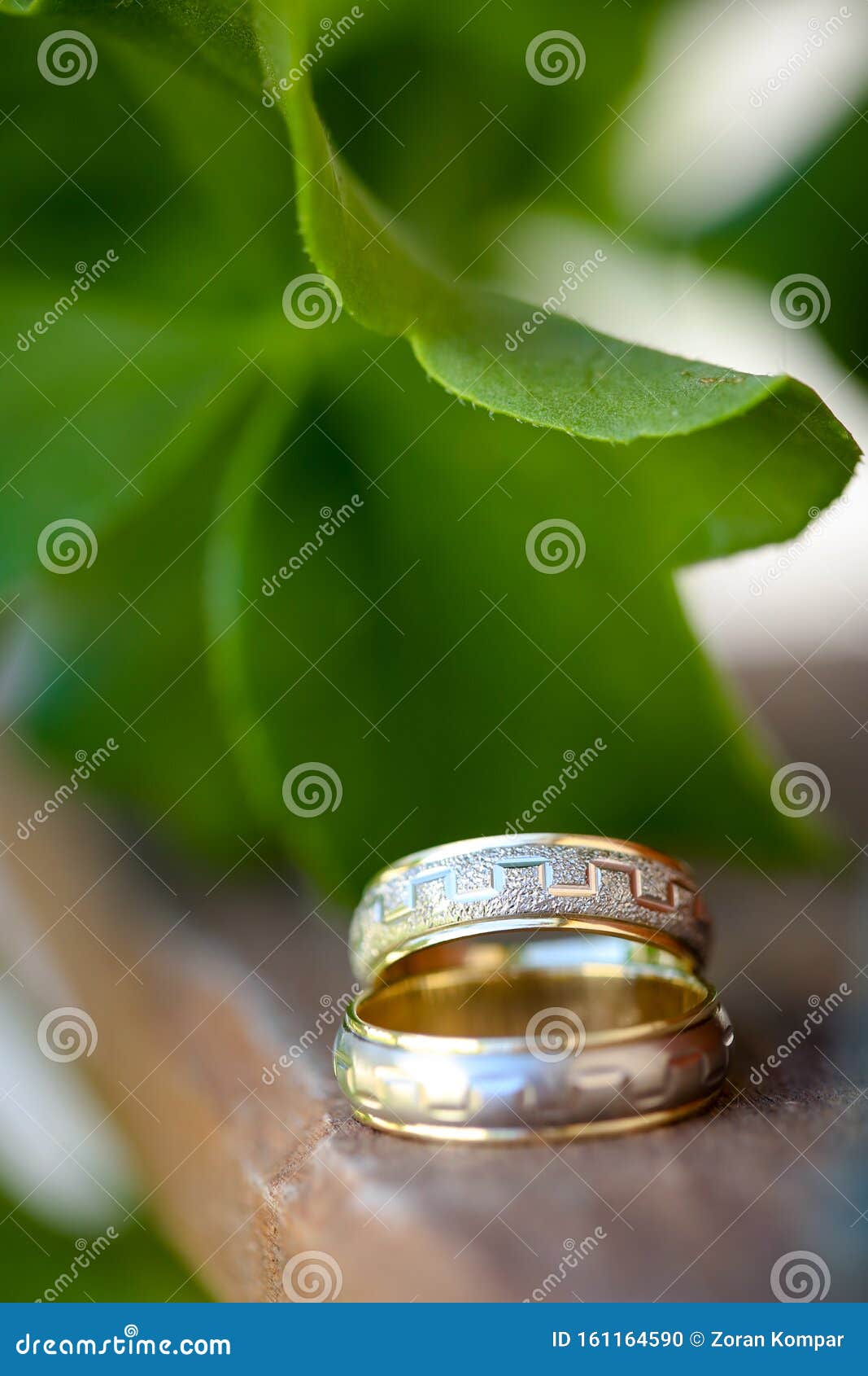 Close Up Of Two Wedding Rings On Wood With Green Leaf In