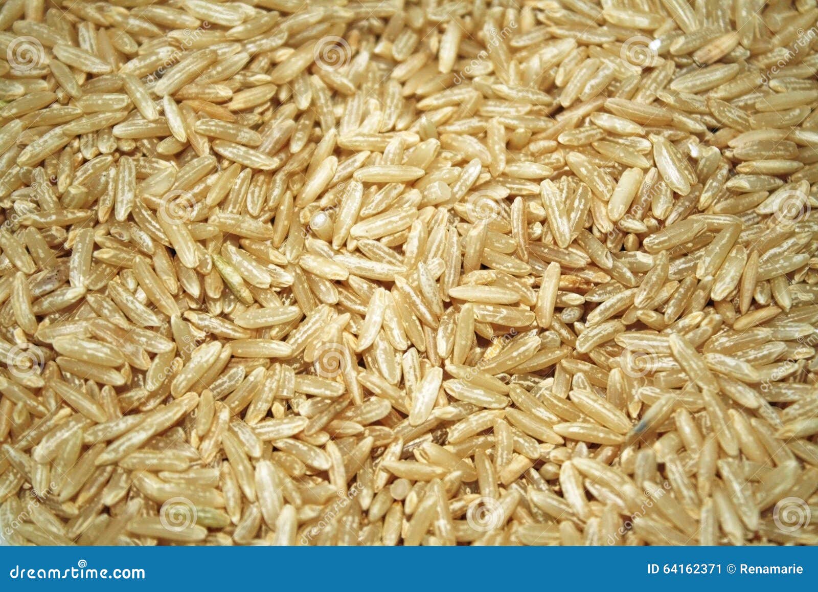 Close Up of Uncooked Whole Grain Brown Rice Stock Image Image of