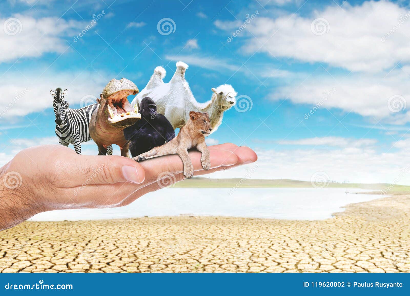 85,094 Endangered Animals Stock Photos - Free & Royalty-Free Stock Photos  from Dreamstime