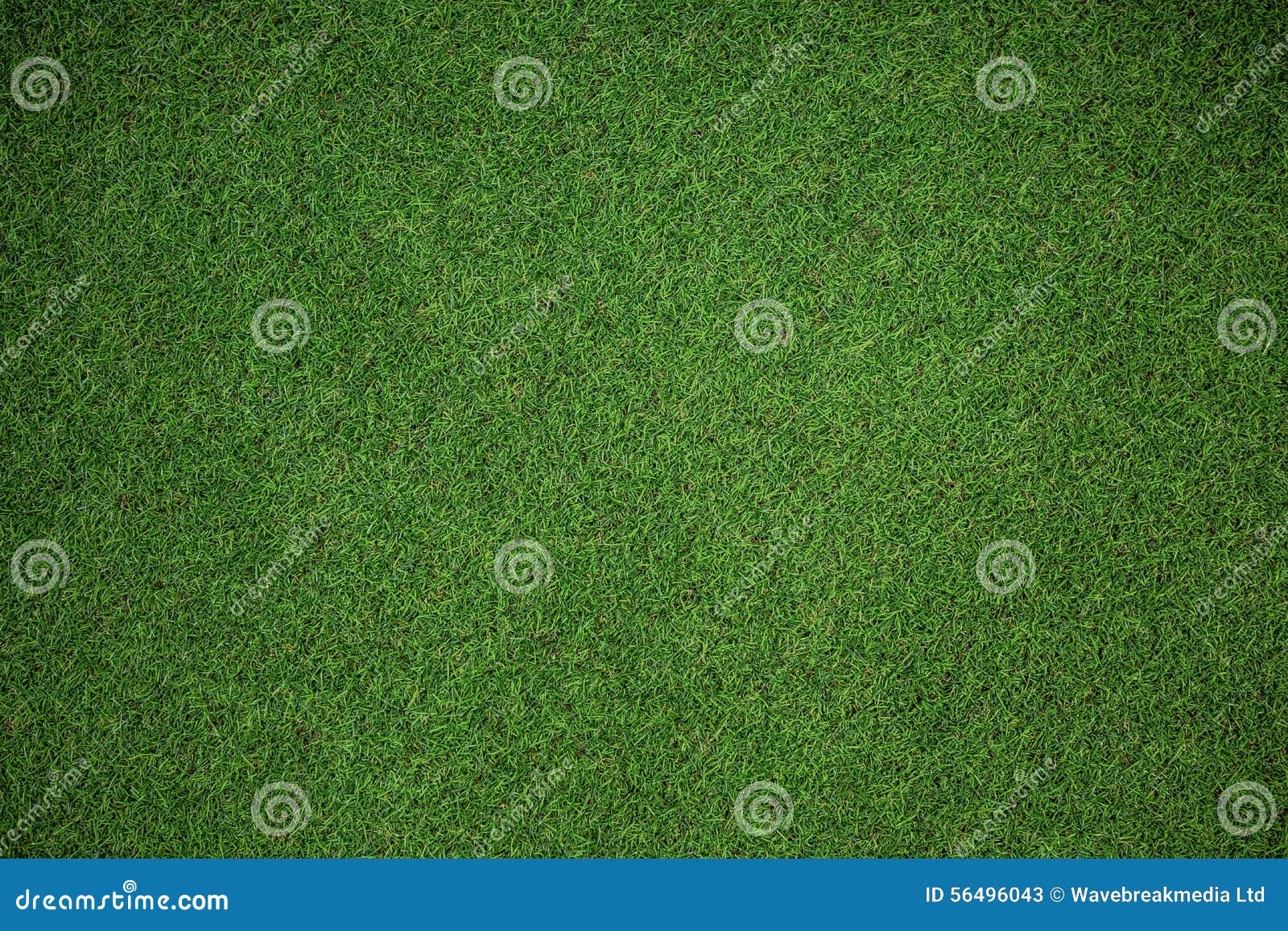 close up view of astro turf