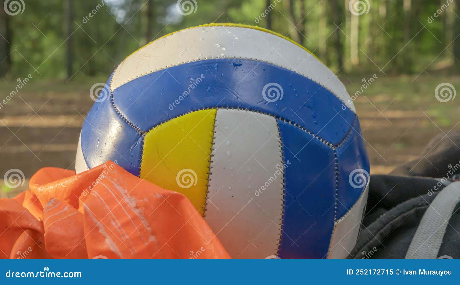 Close-up View of Ball for Volleyball in the Forest. Tricolor Volleyball ...