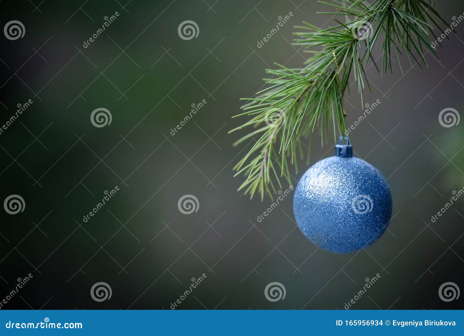 Close-up View of Blue Ball As Decoration Hanging on the Branches of a ...
