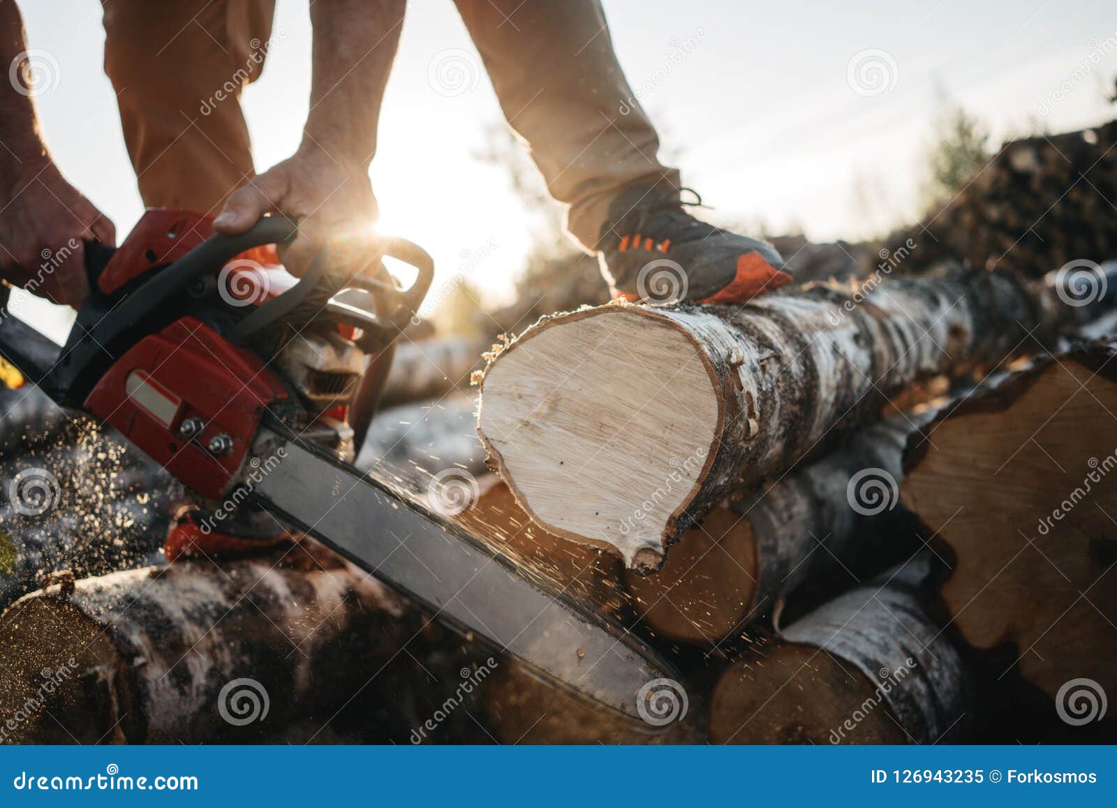 Closeup View on Chainsaw in Lumberjack Hands. Stock Image Image of brutal, equipment 126943235
