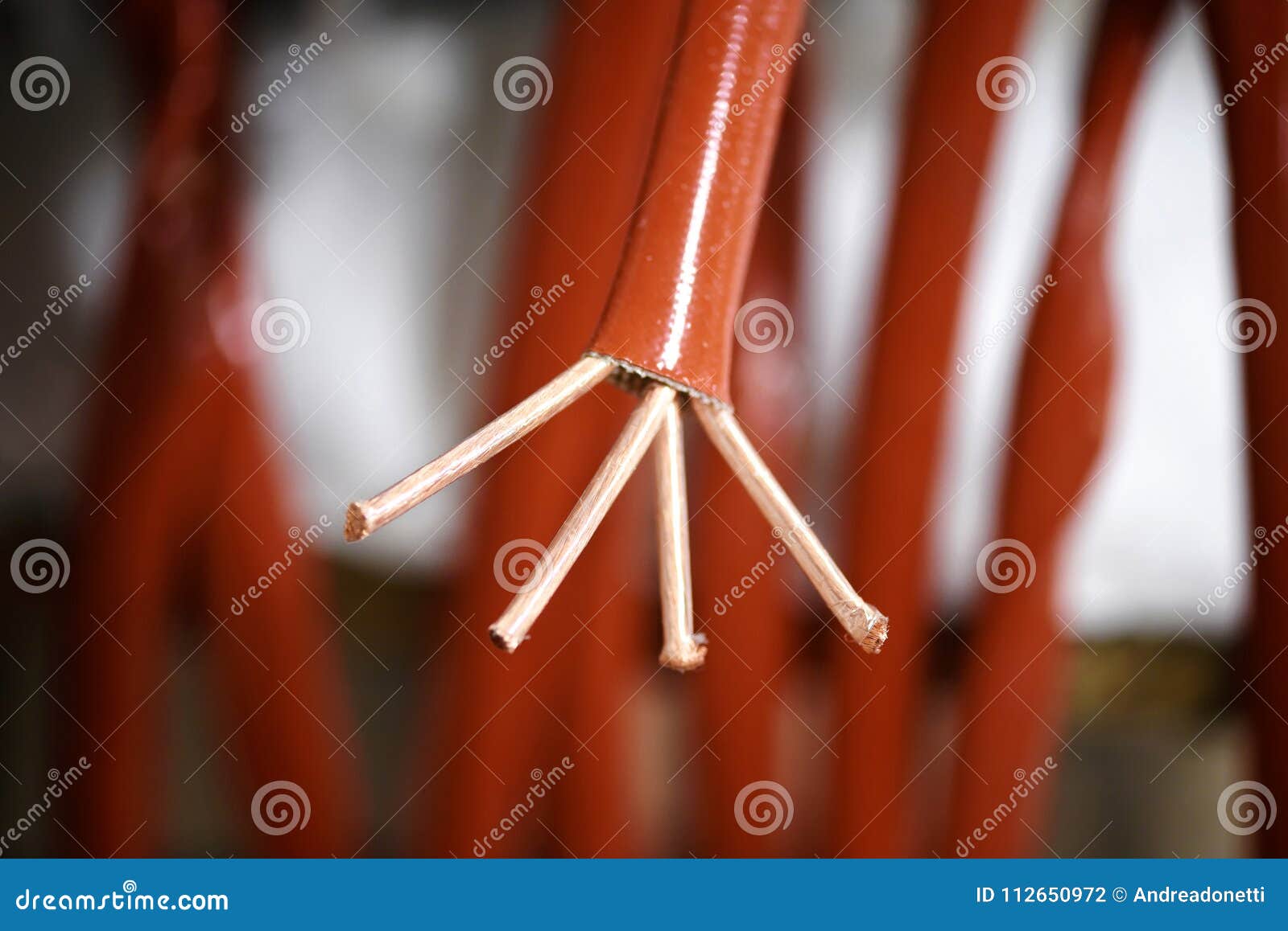 Close Up View of Copper Wire End Stock Photo Image of cable, close