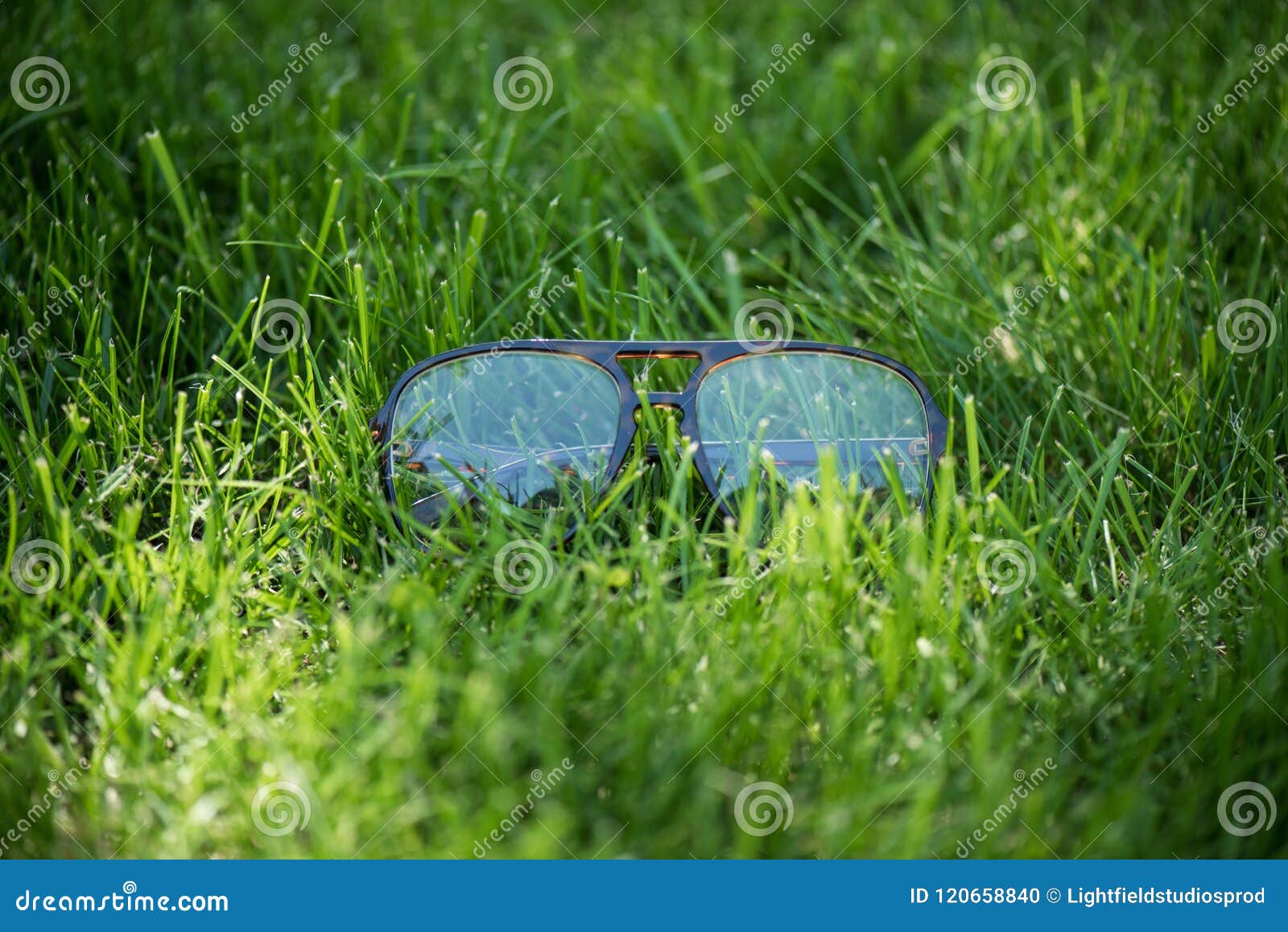 Close Up View of Eyeglasses Stock Photo Image of seasonal, grass