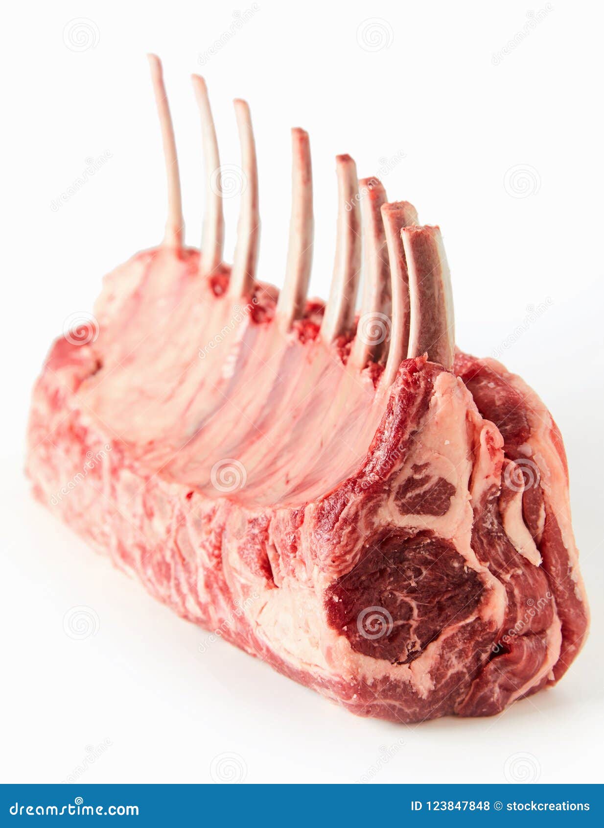 https://thumbs.dreamstime.com/z/close-up-view-fresh-raw-lamb-meat-bones-against-white-background-raw-lamb-chop-close-up-white-background-123847848.jpg